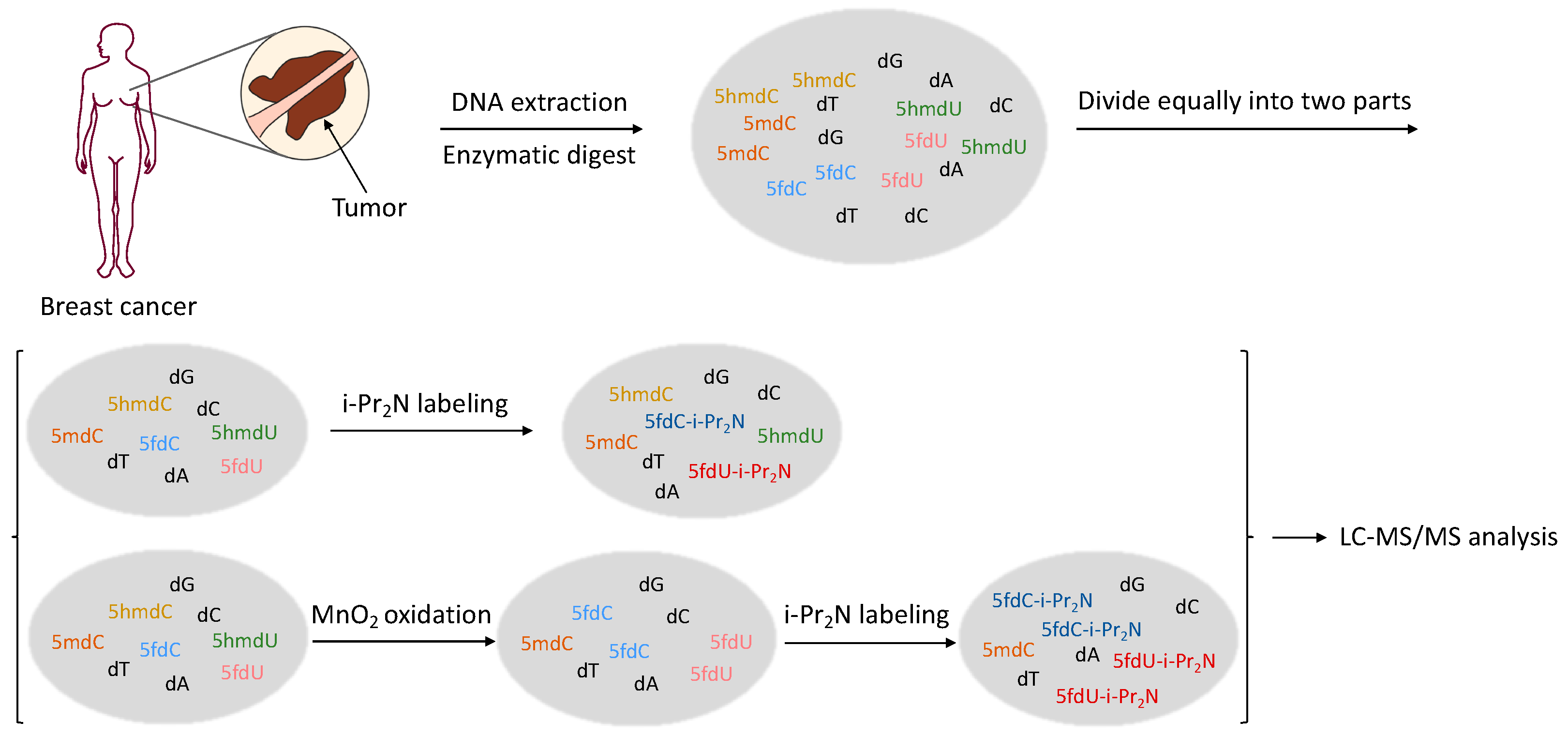 Molecules 27 07041 g003