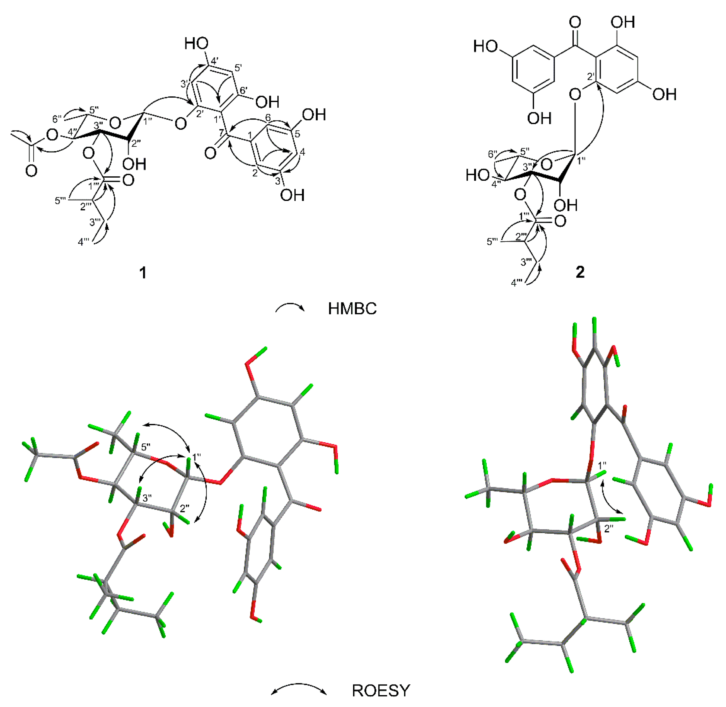Molecules 27 07056 g002