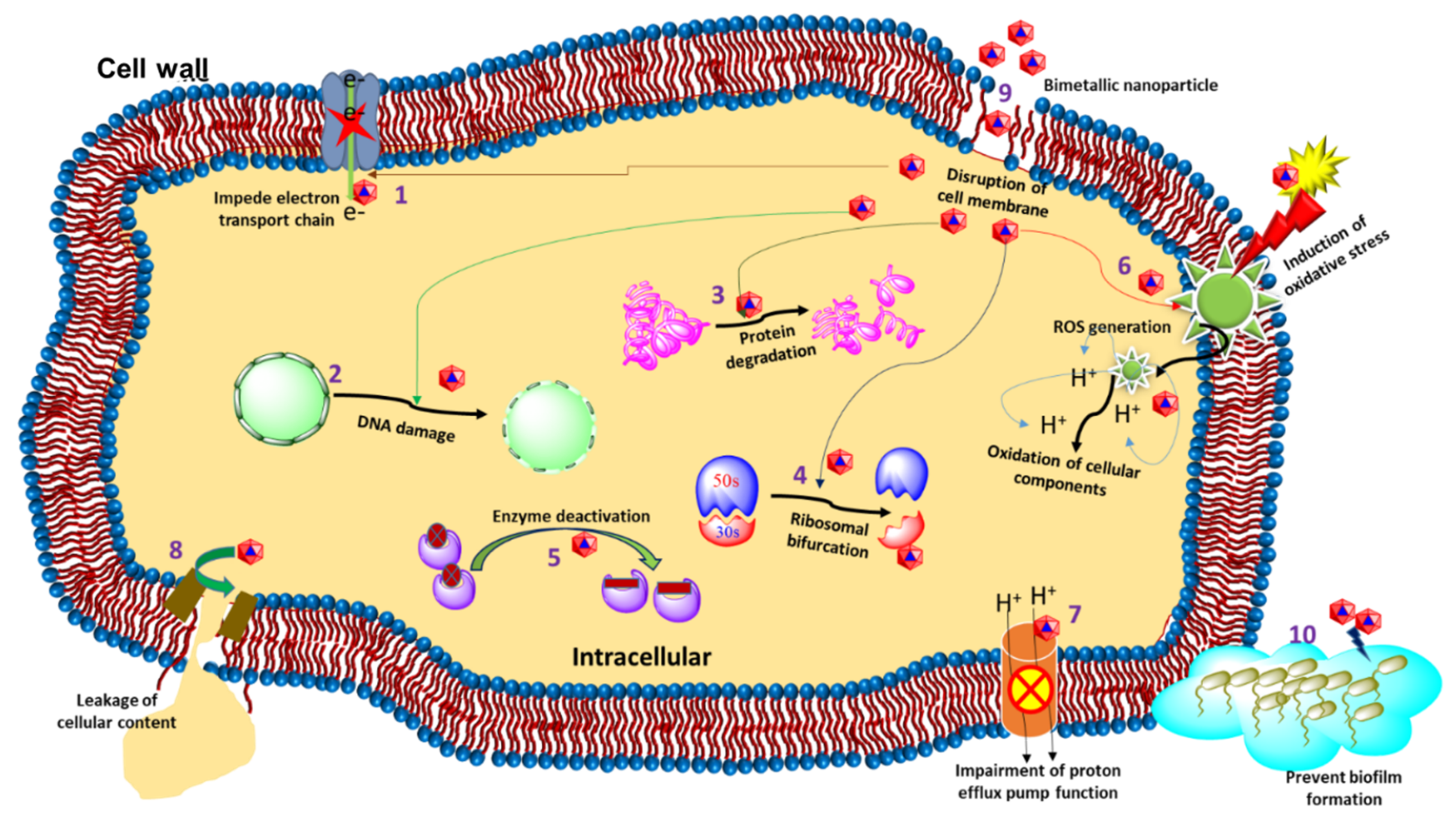Molecules 27 07059 g002 Molecules 27 07059 g002