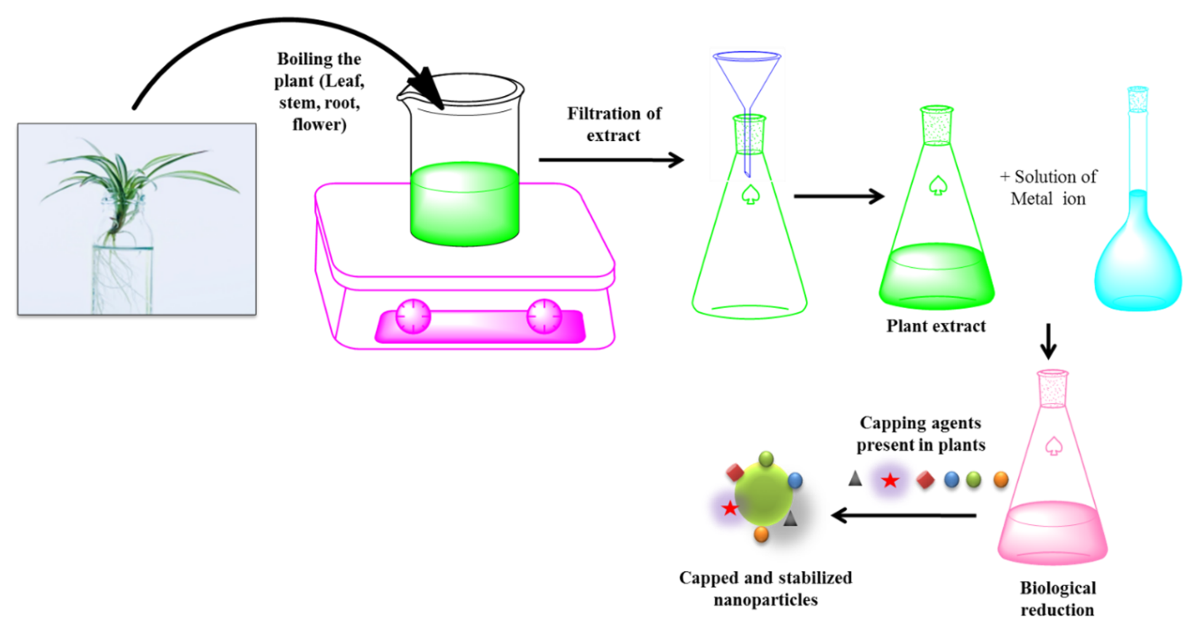 Molecules 27 07059 g005 Molecules 27 07059 g005