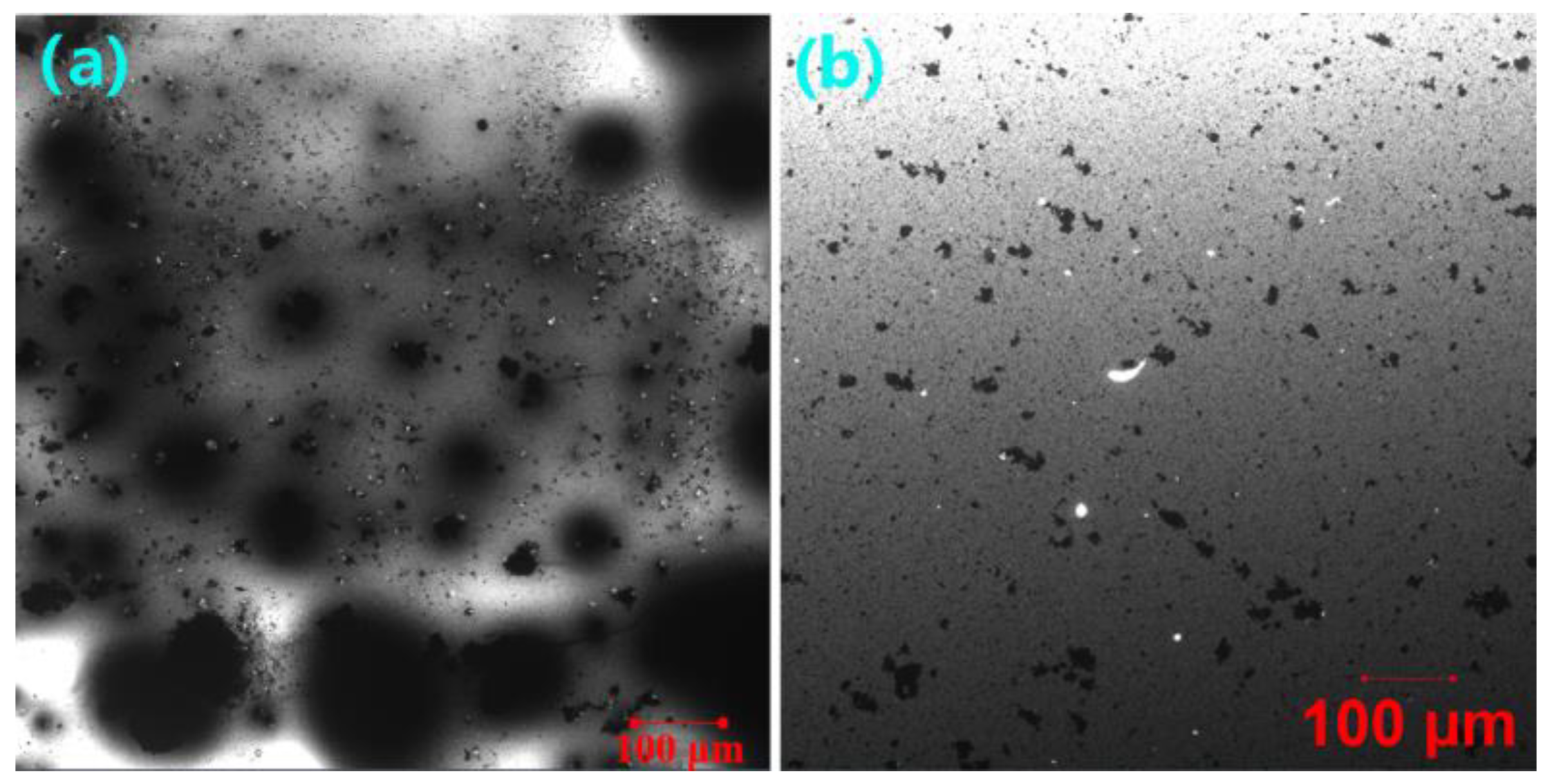 Molecules 27 07061 g010 Molecules 27 07061 g010