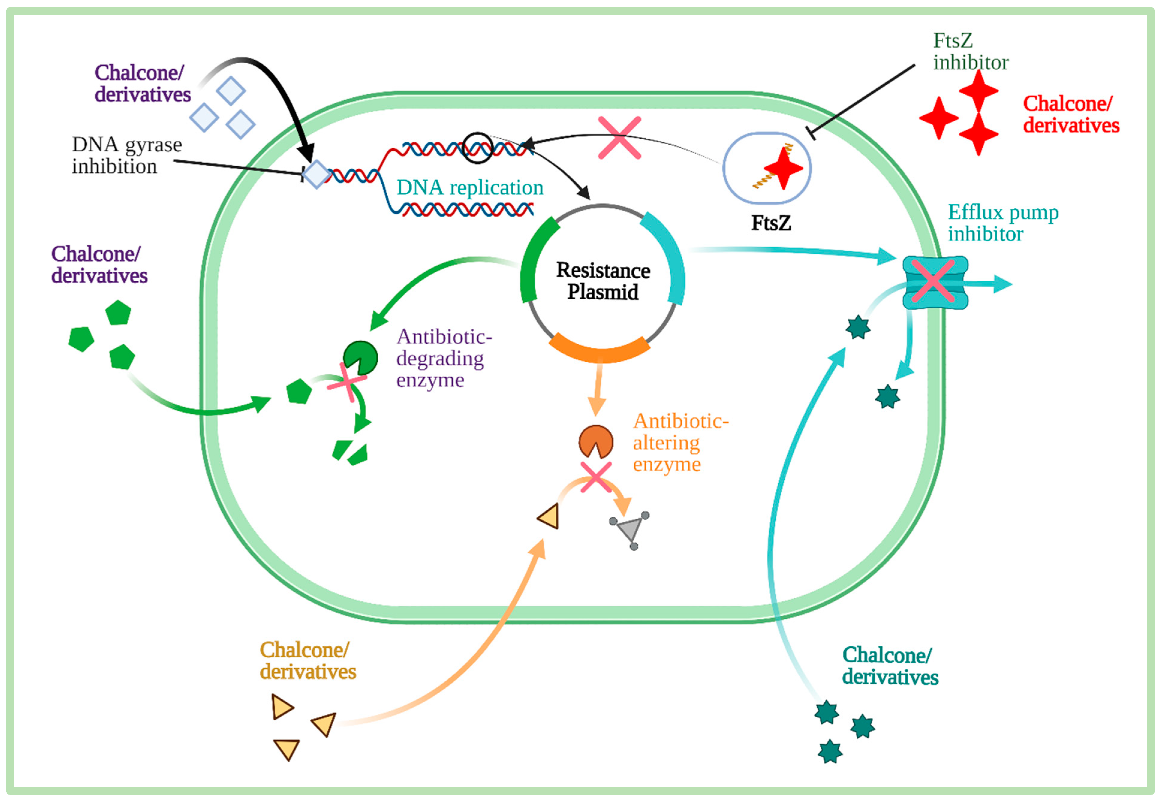 Molecules 27 07062 g008