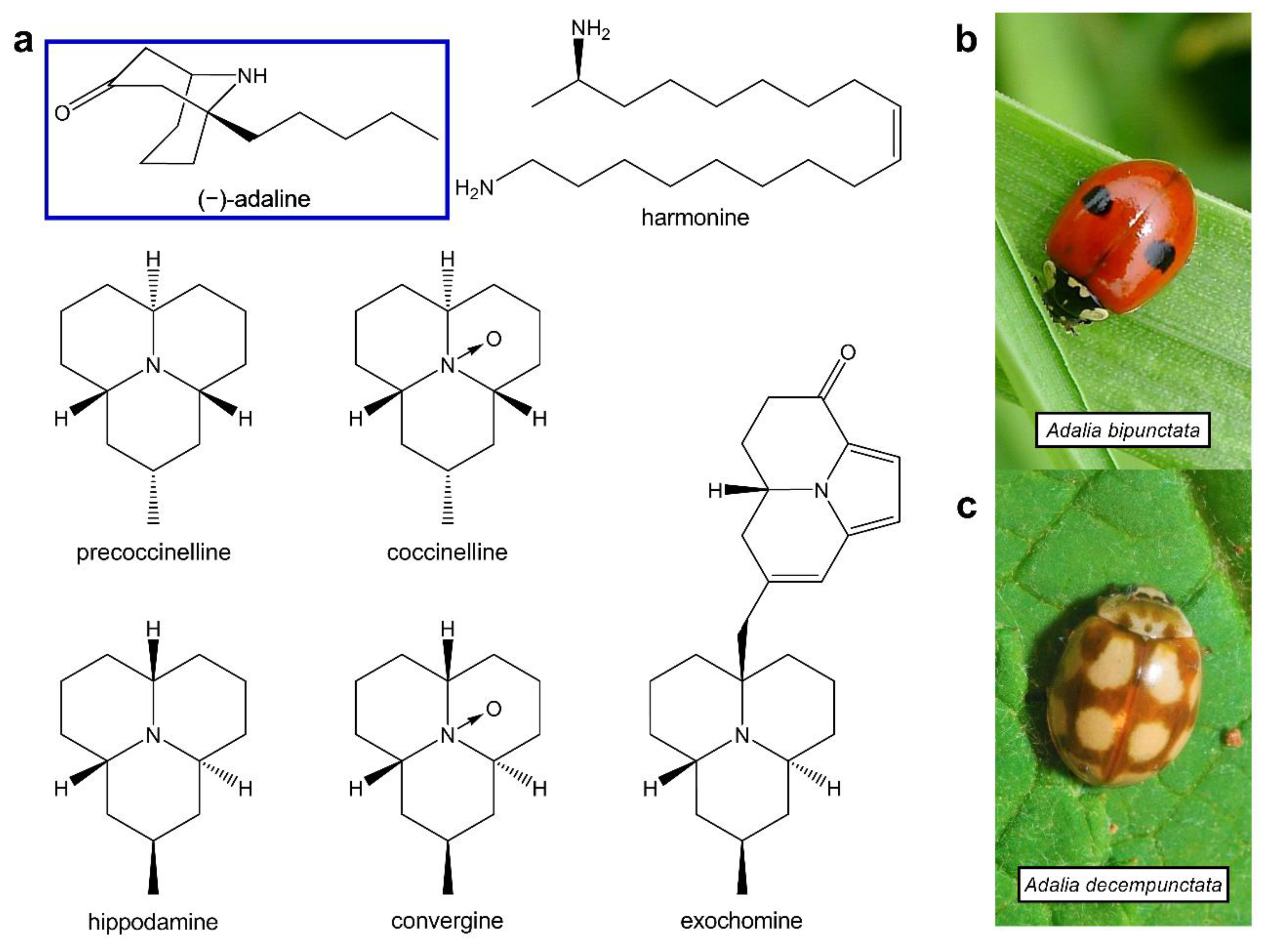 Molecules 27 07074 g001 Molecules 27 07074 g001