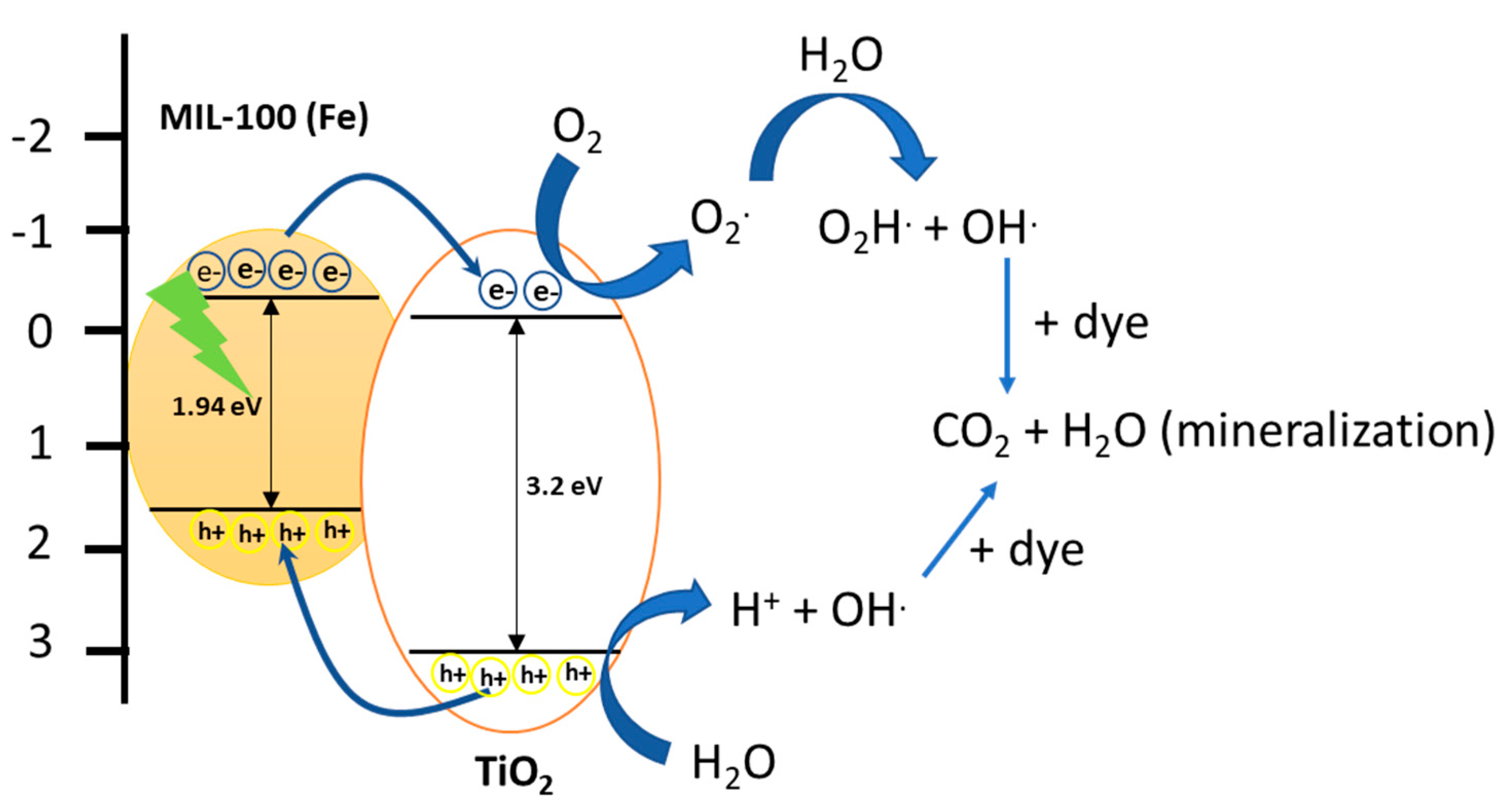 Molecules 27 07078 g012