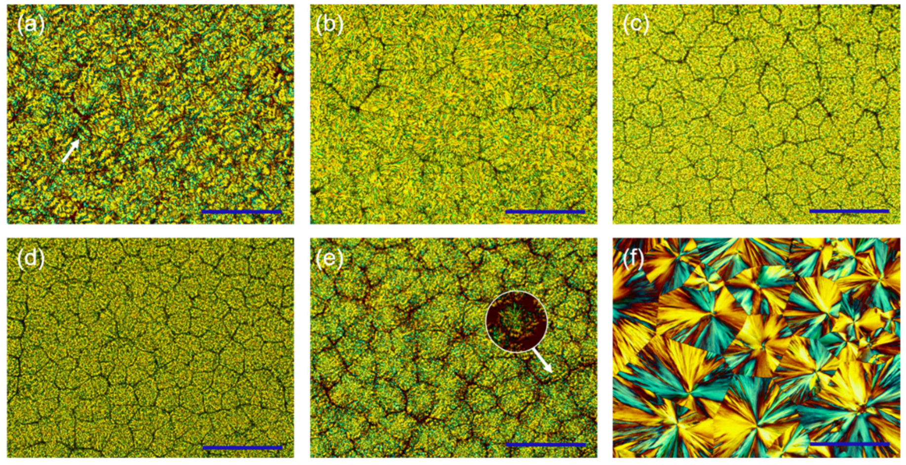 Molecules 27 07086 g009 Molecules 27 07086 g009