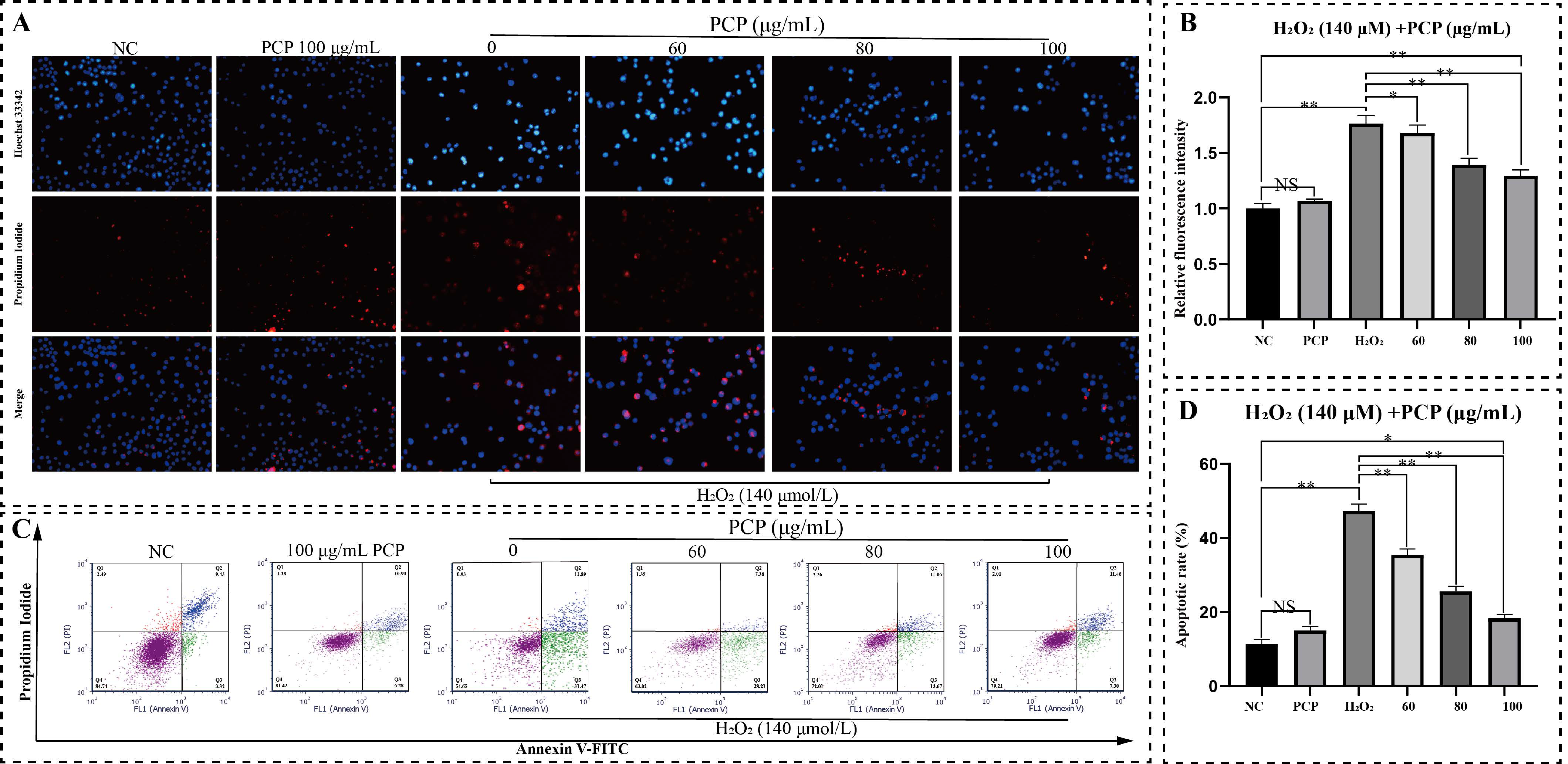 Molecules 27 07088 g003