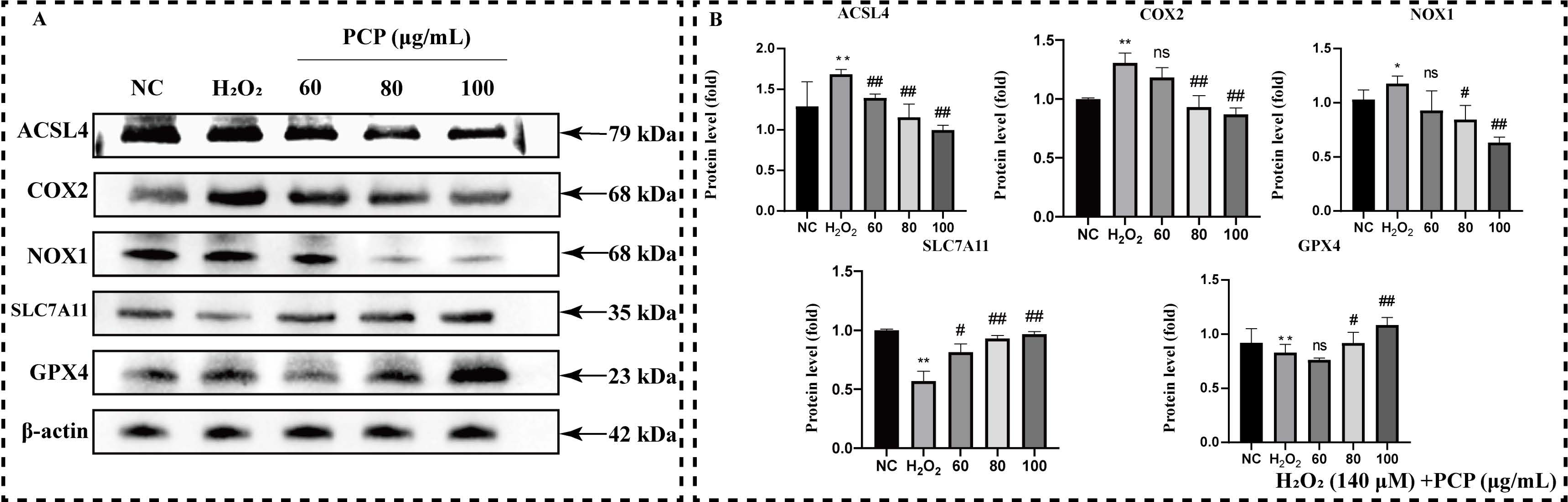 Molecules 27 07088 g007