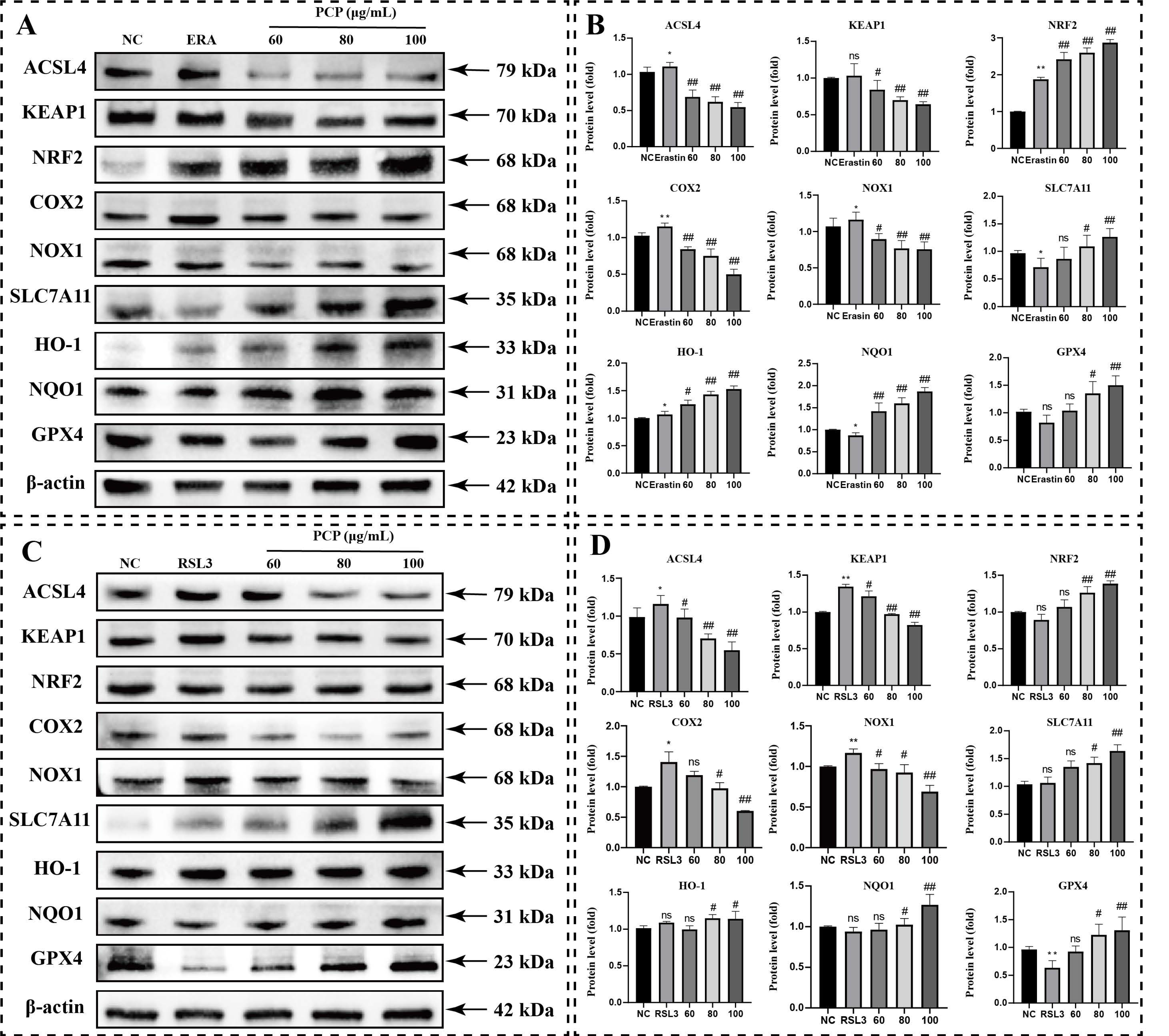 Molecules 27 07088 g011