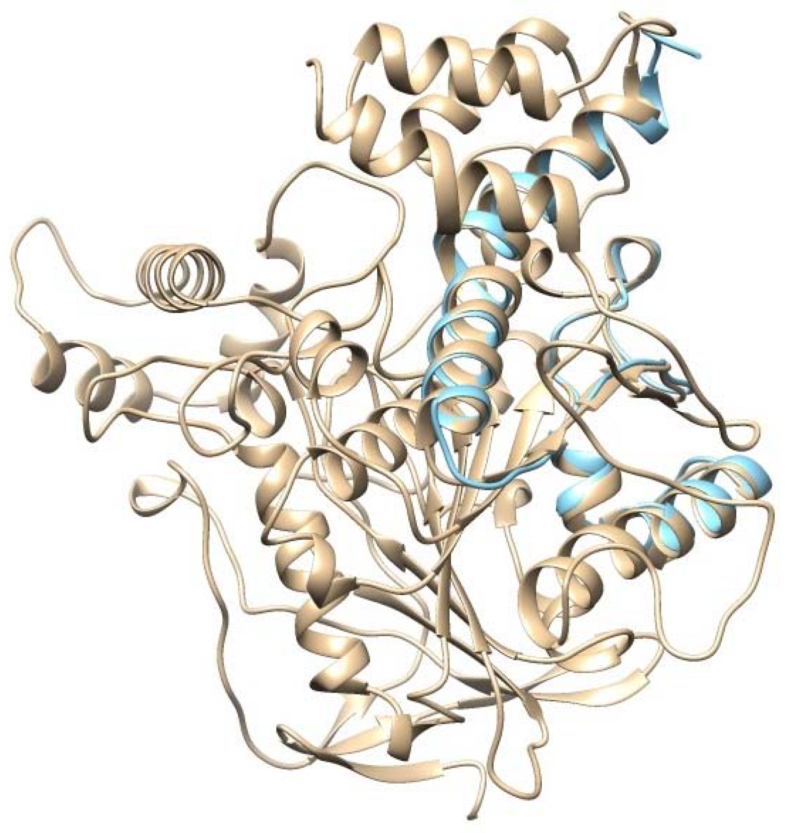 Molecules 27 07092 g003 Molecules 27 07092 g003