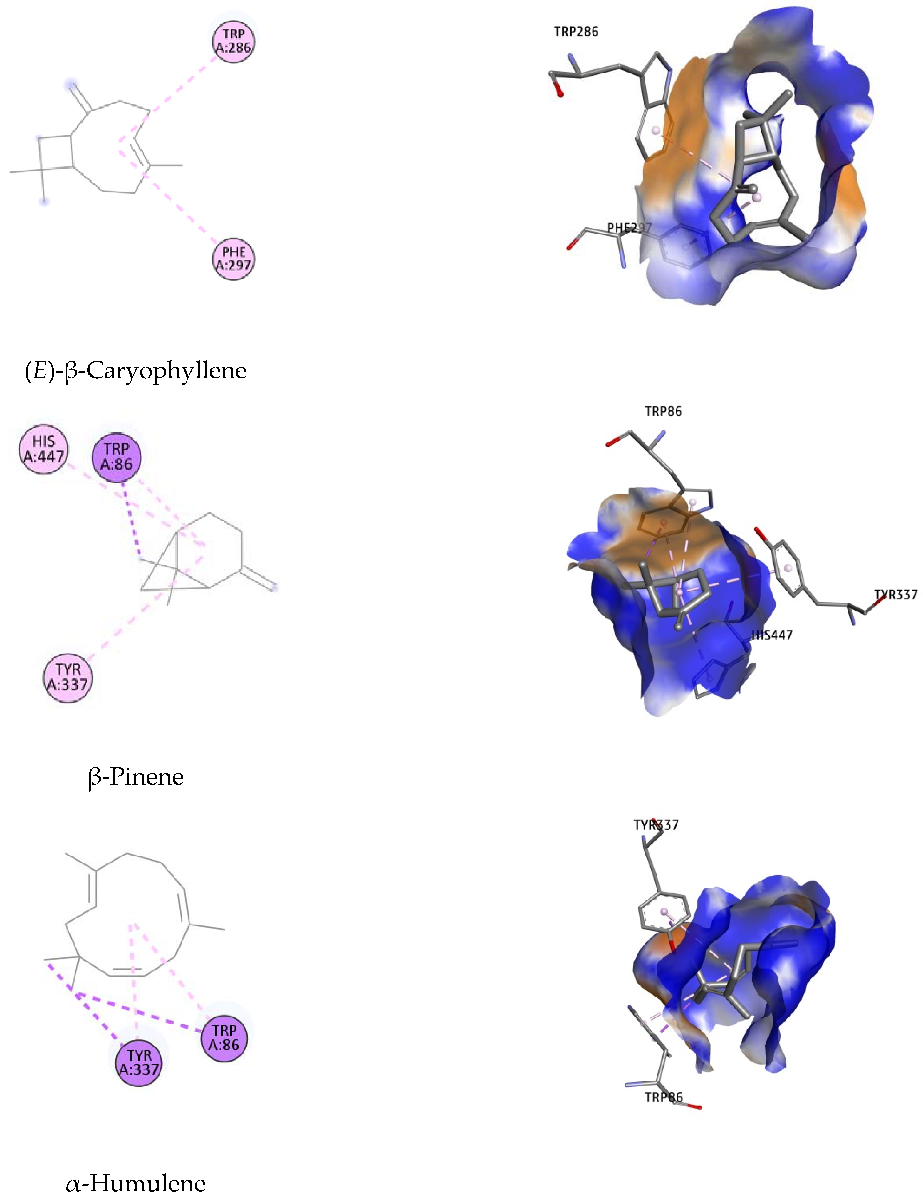 Molecules 27 07092 g005a Molecules 27 07092 g005a