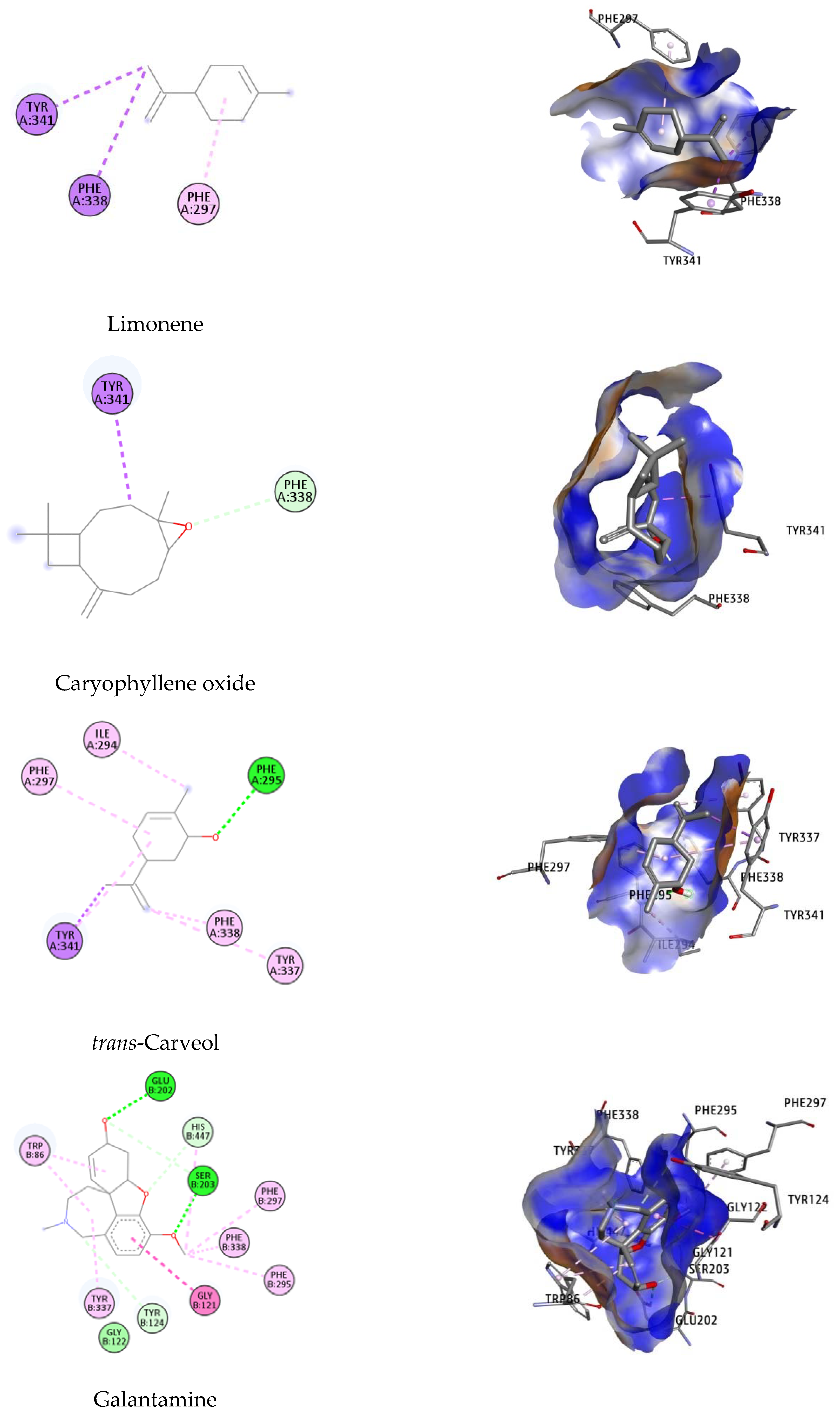 Molecules 27 07092 g005b Molecules 27 07092 g005b