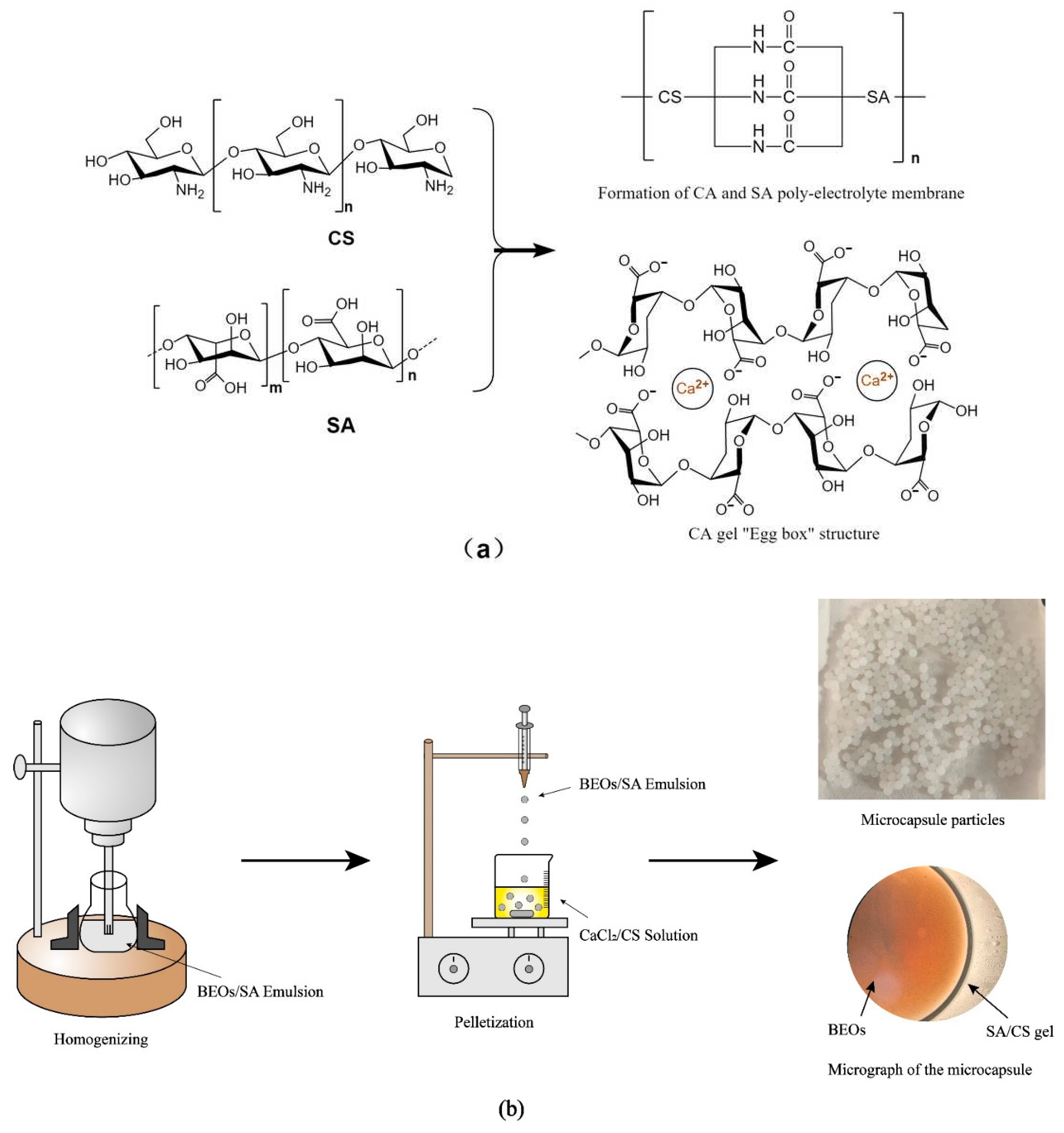 Molecules 27 07096 g007