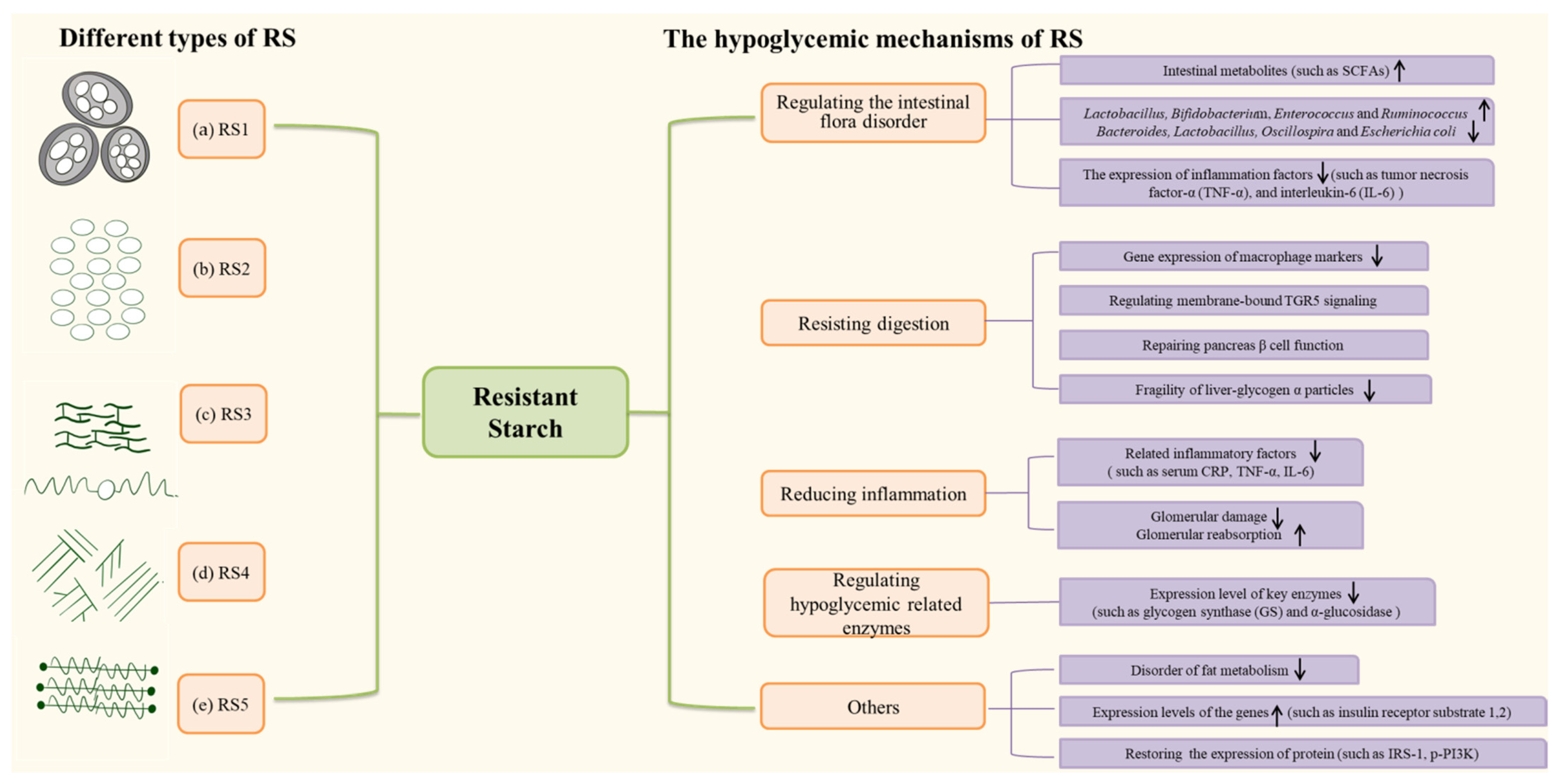 Molecules 27 07111 g001