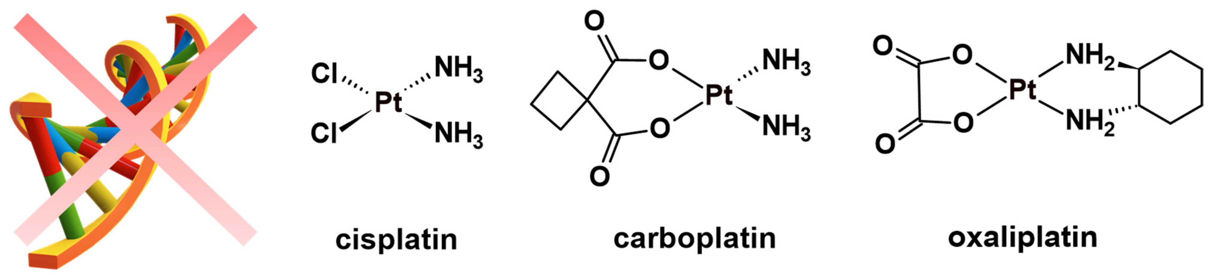 Molecules 27 07120 g001