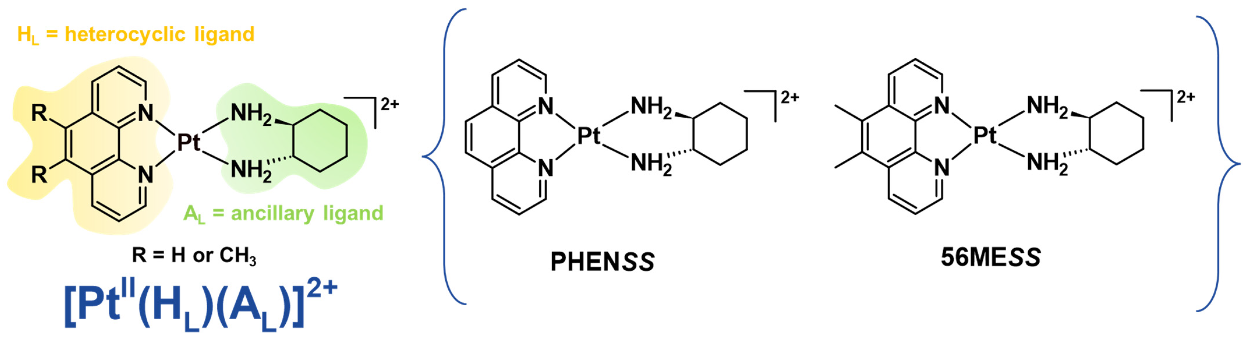 Molecules 27 07120 g002