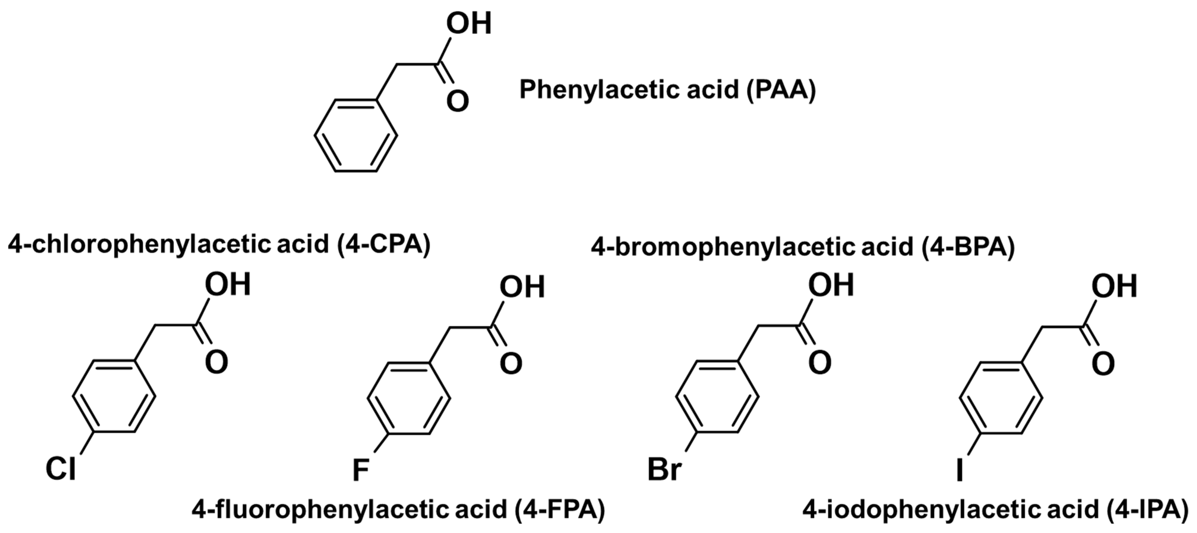 Molecules 27 07120 g005