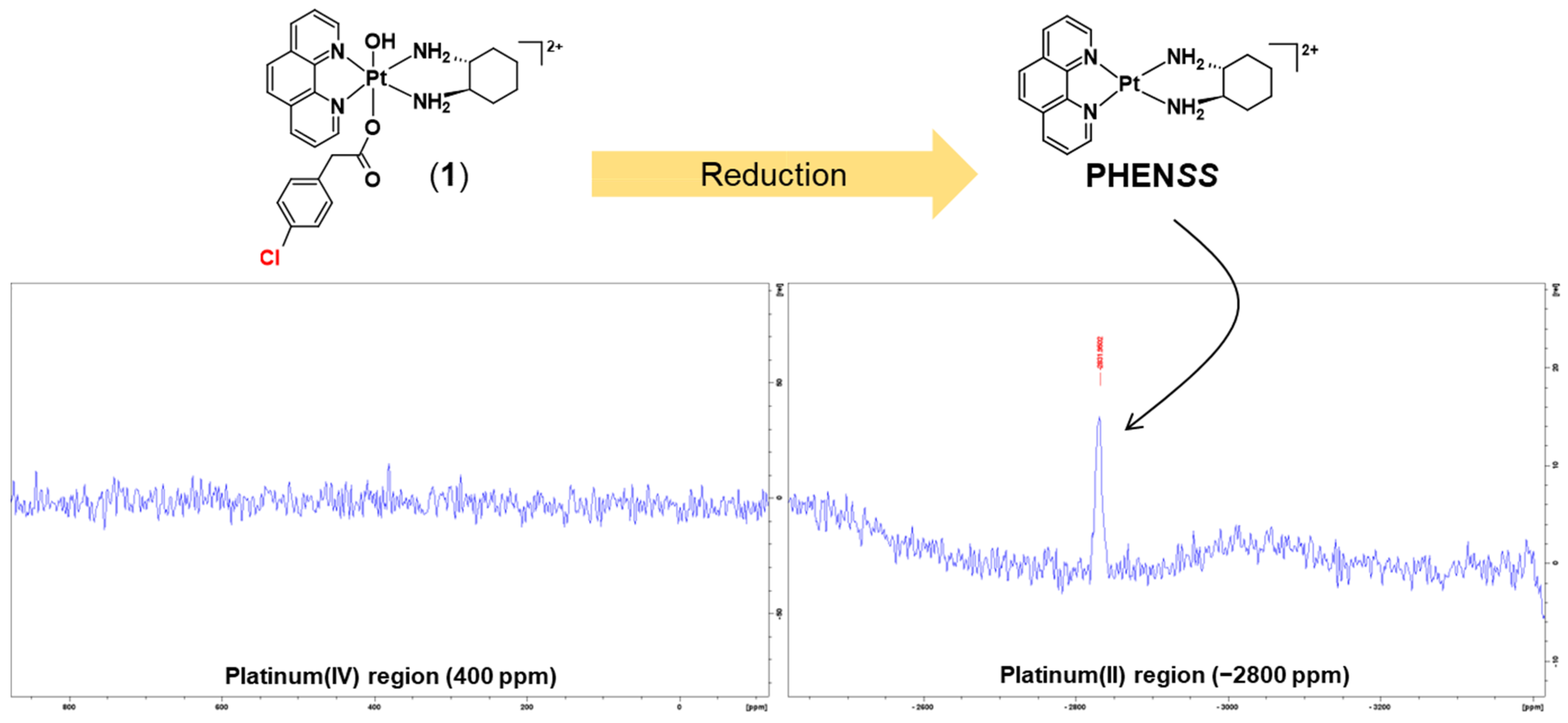 Molecules 27 07120 g016