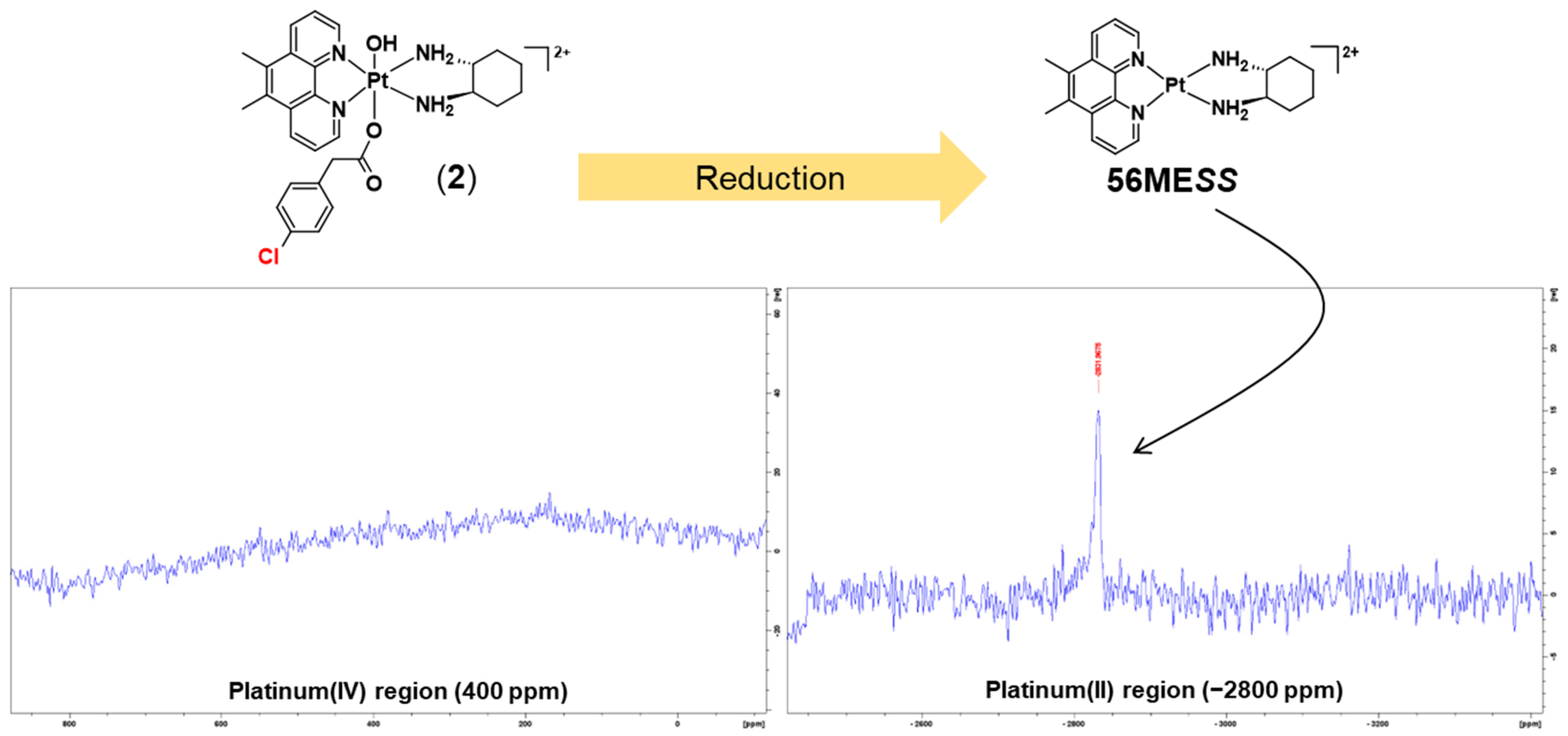 Molecules 27 07120 g018