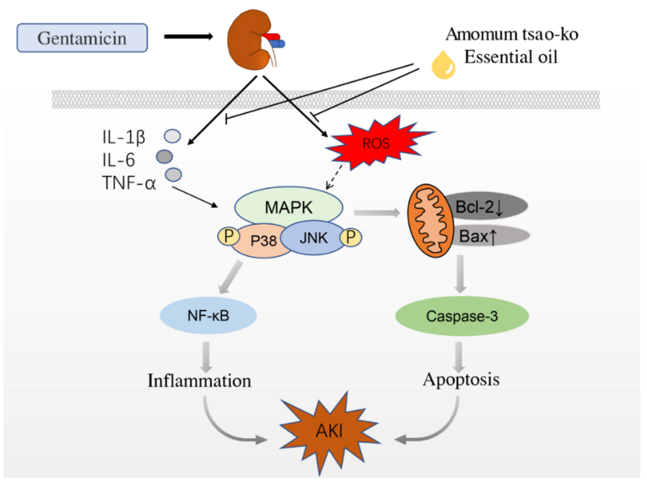 Molecules 27 07121 g008 Molecules 27 07121 g008