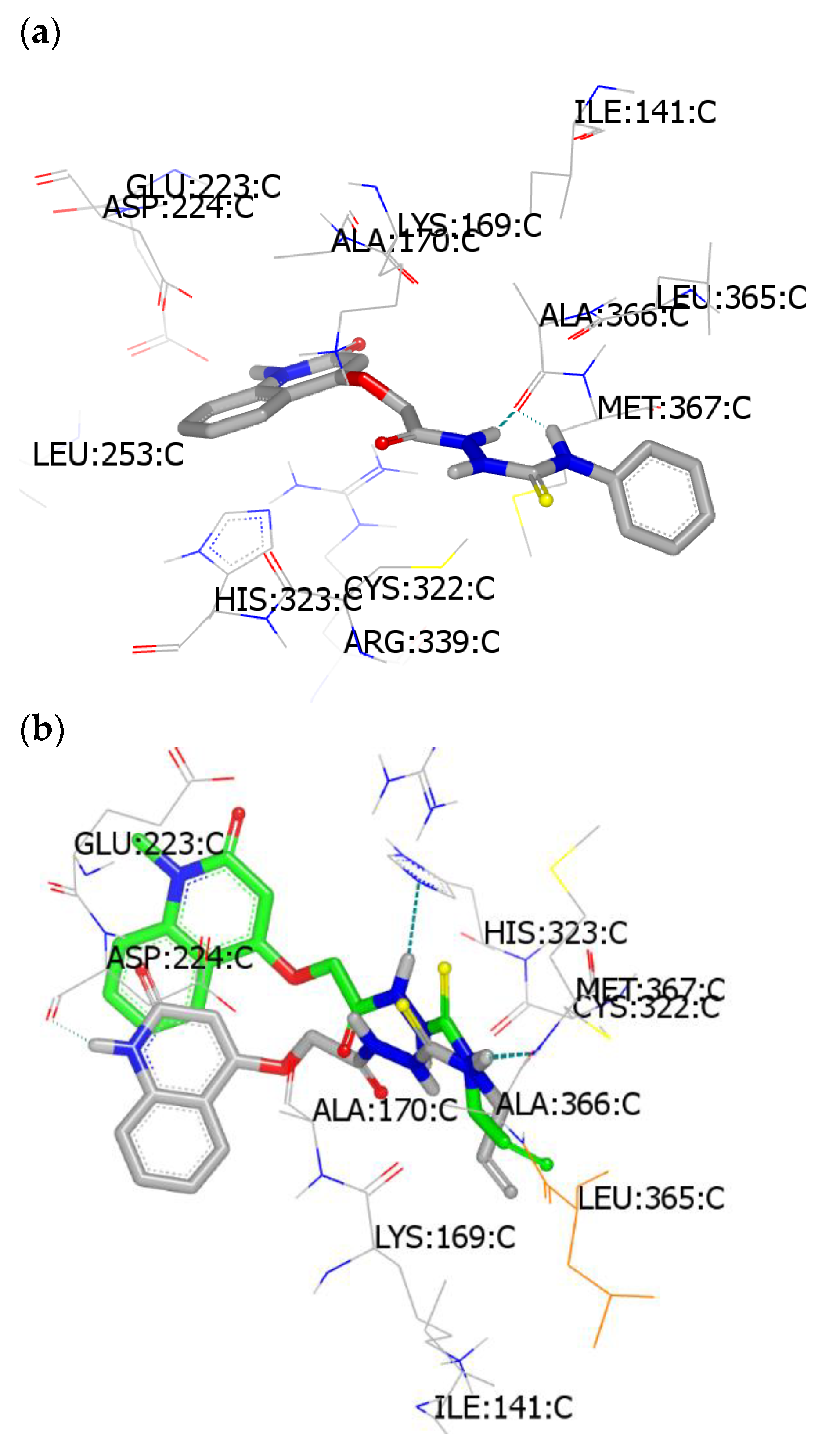 Molecules 27 07126 g004a Molecules 27 07126 g004a