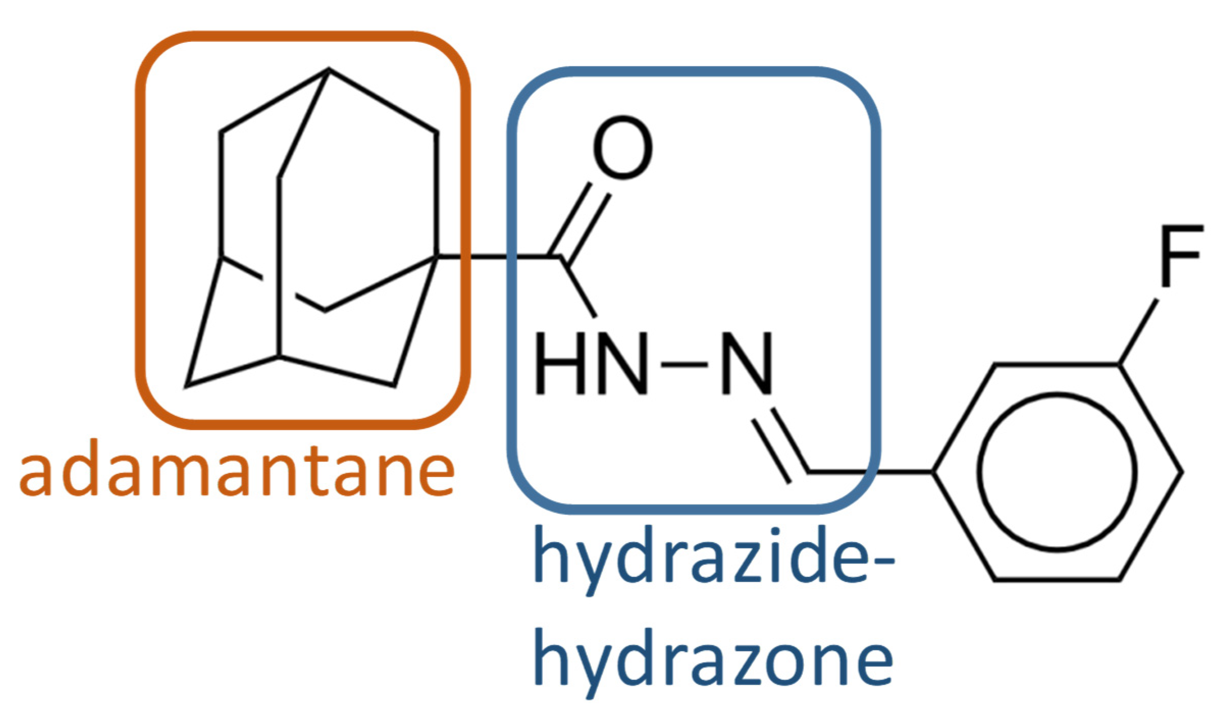 Molecules 27 07130 g001
