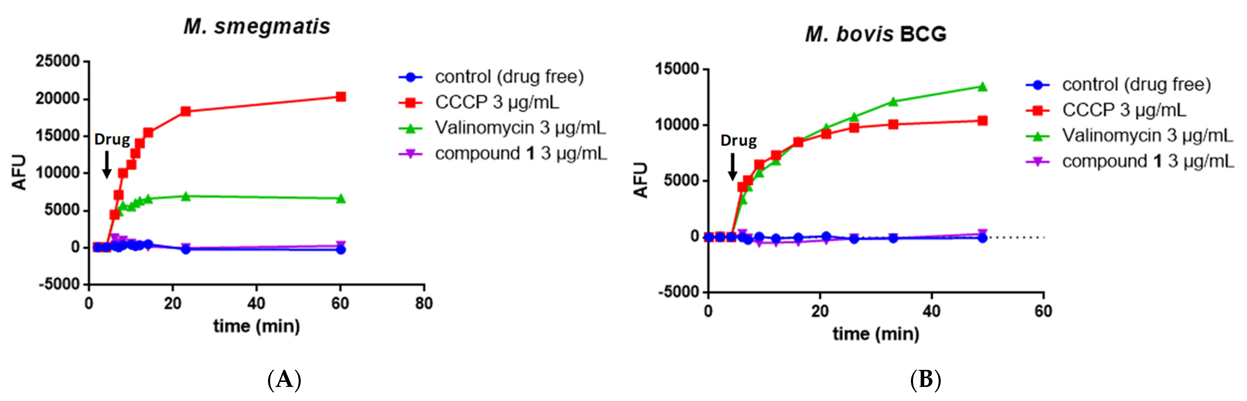 Molecules 27 07130 g005