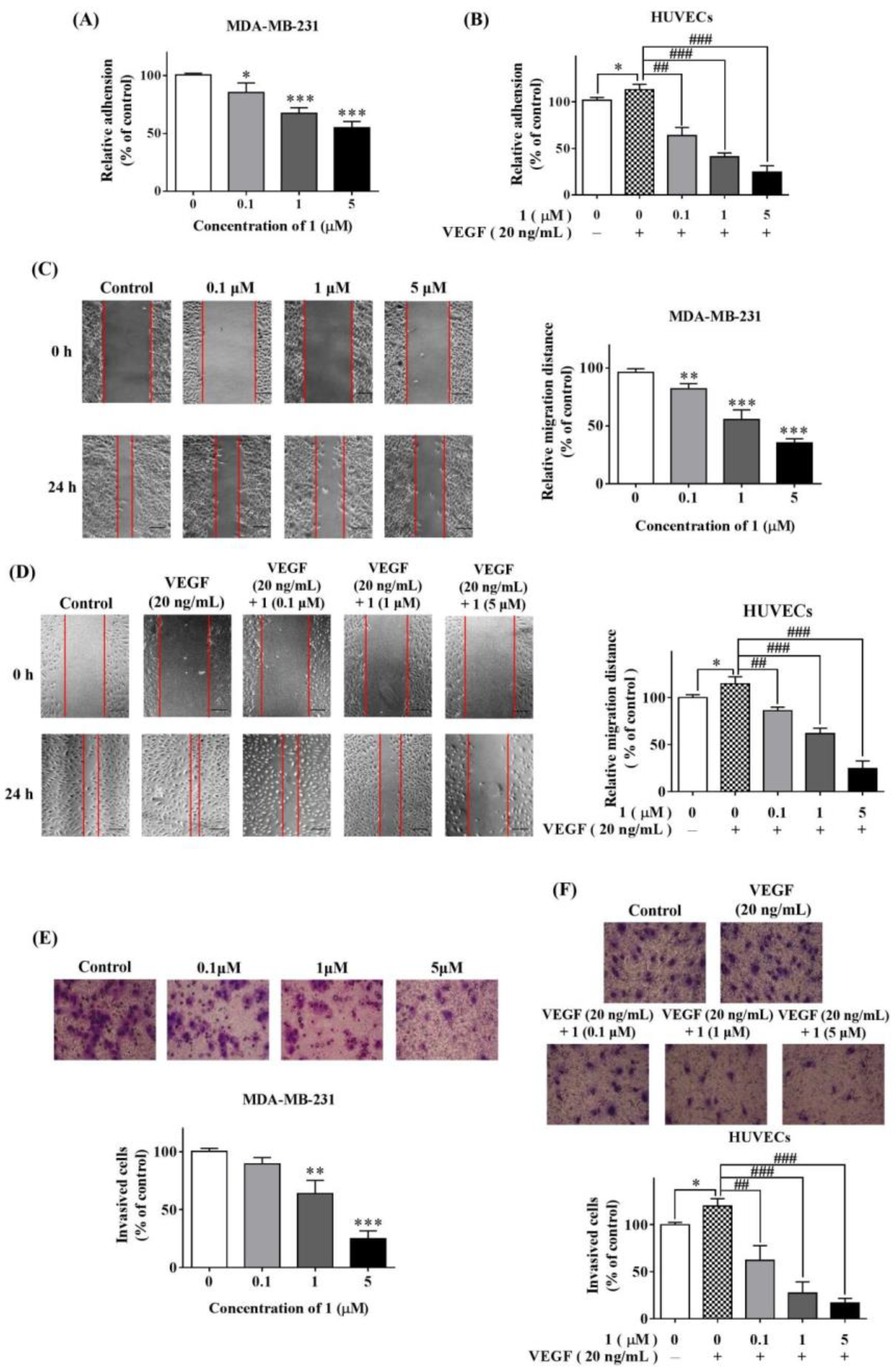 Molecules 27 07132 g002