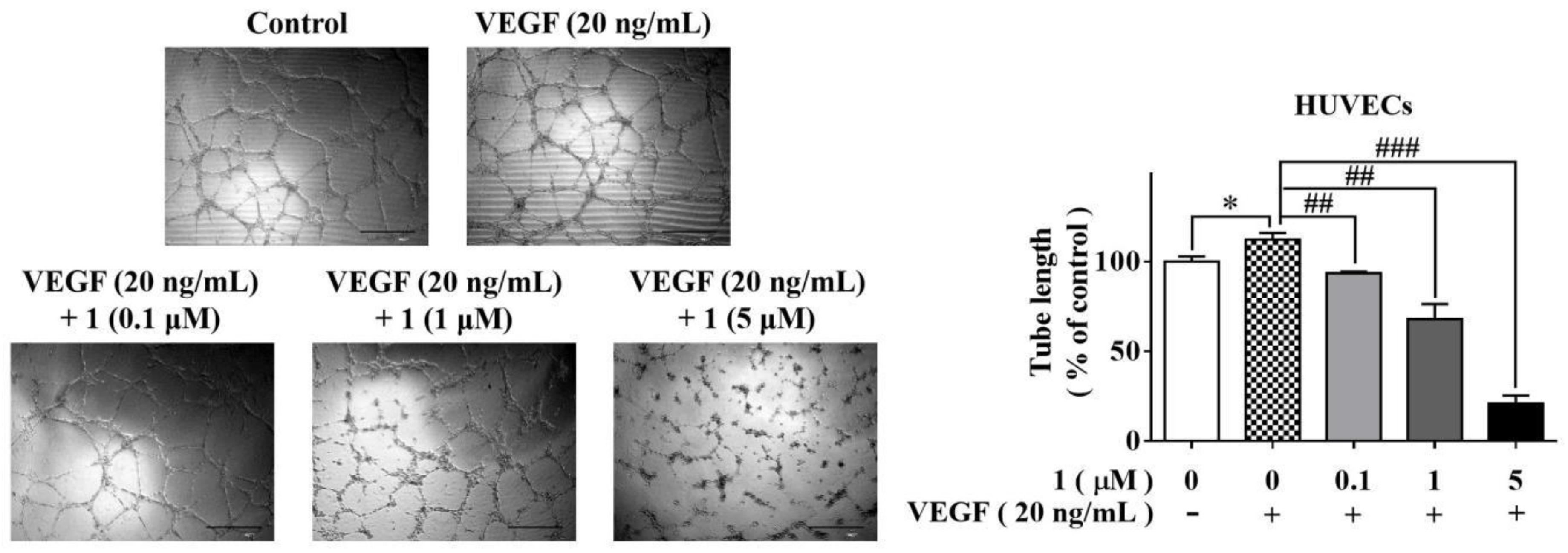 Molecules 27 07132 g003