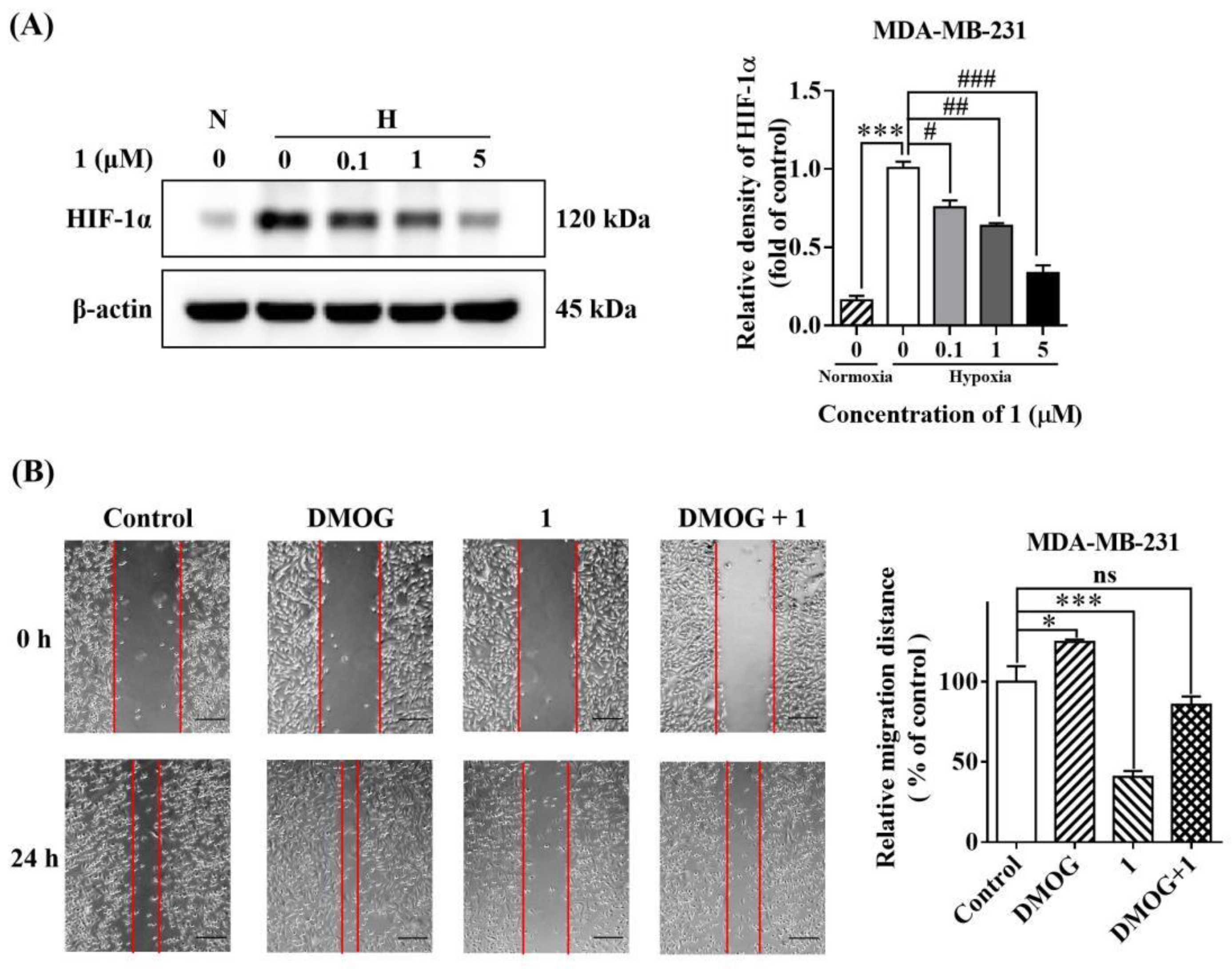Molecules 27 07132 g005