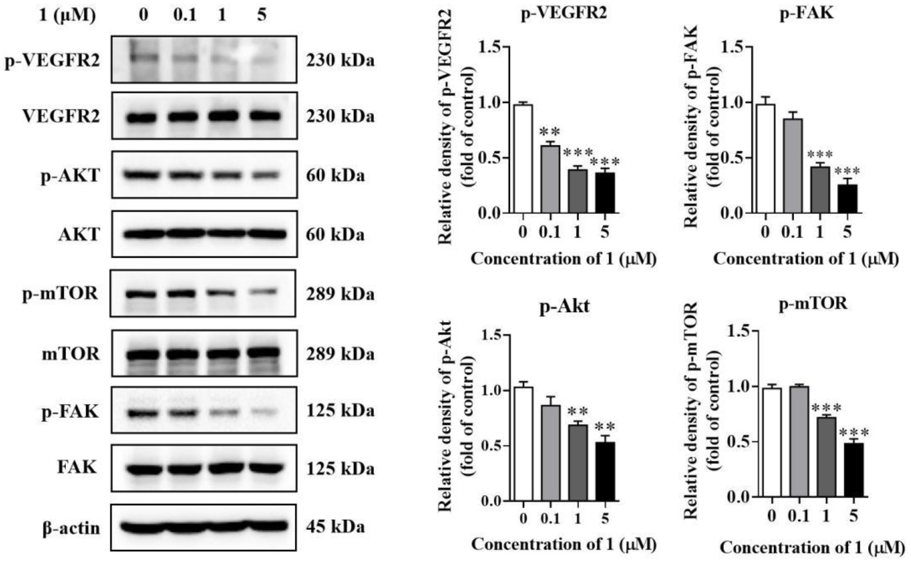 Molecules 27 07132 g006