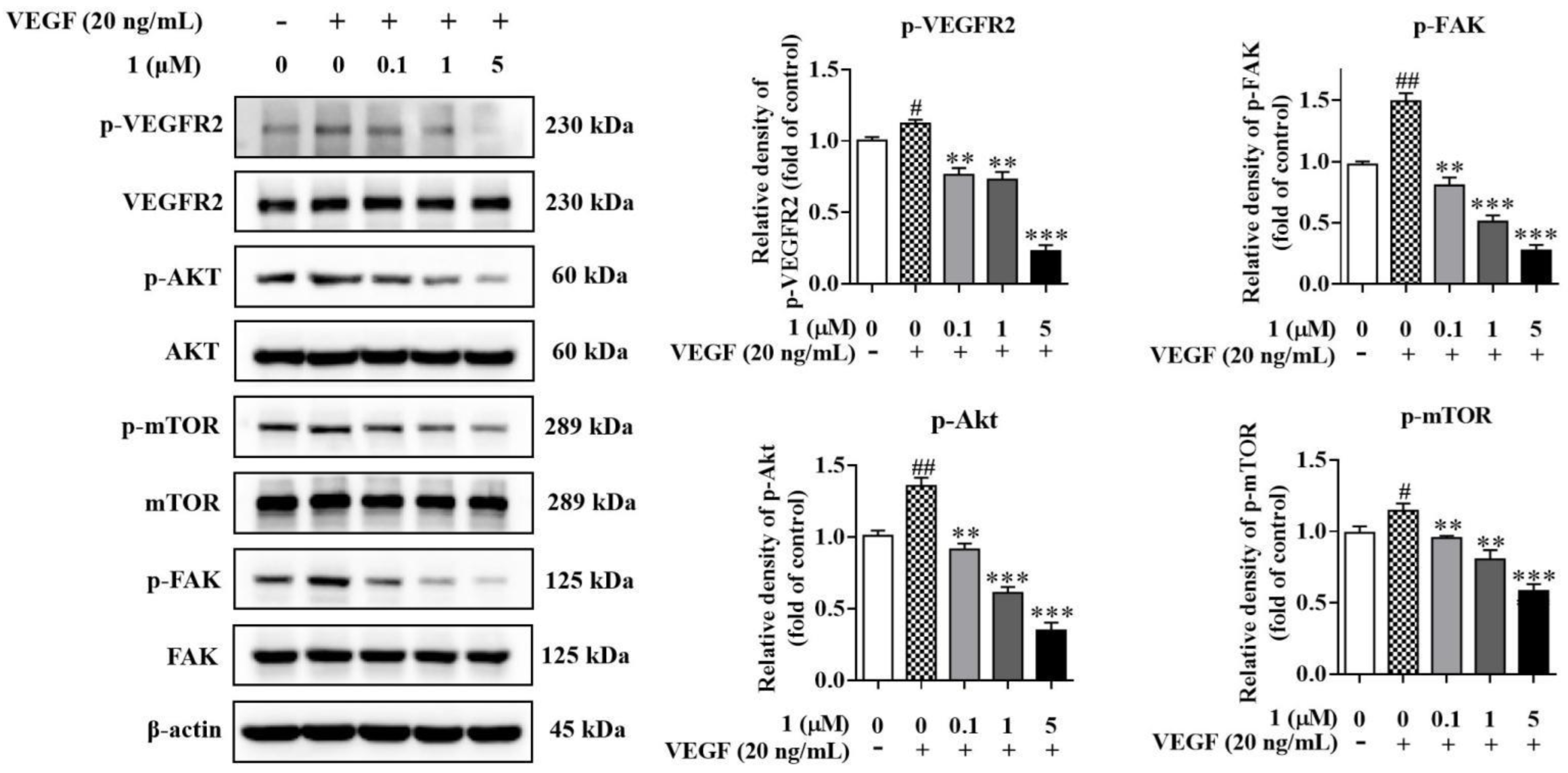 Molecules 27 07132 g007