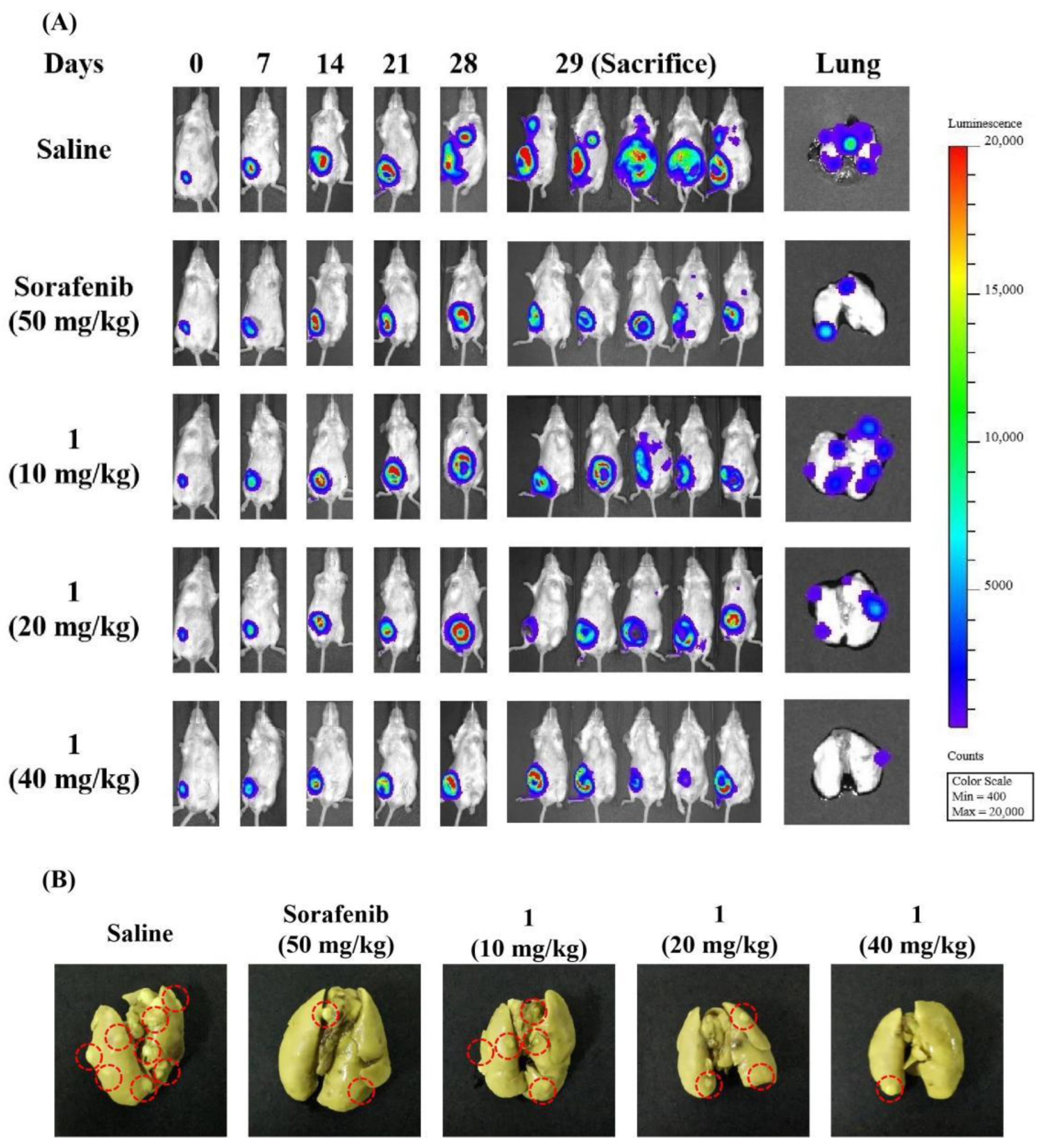 Molecules 27 07132 g009a