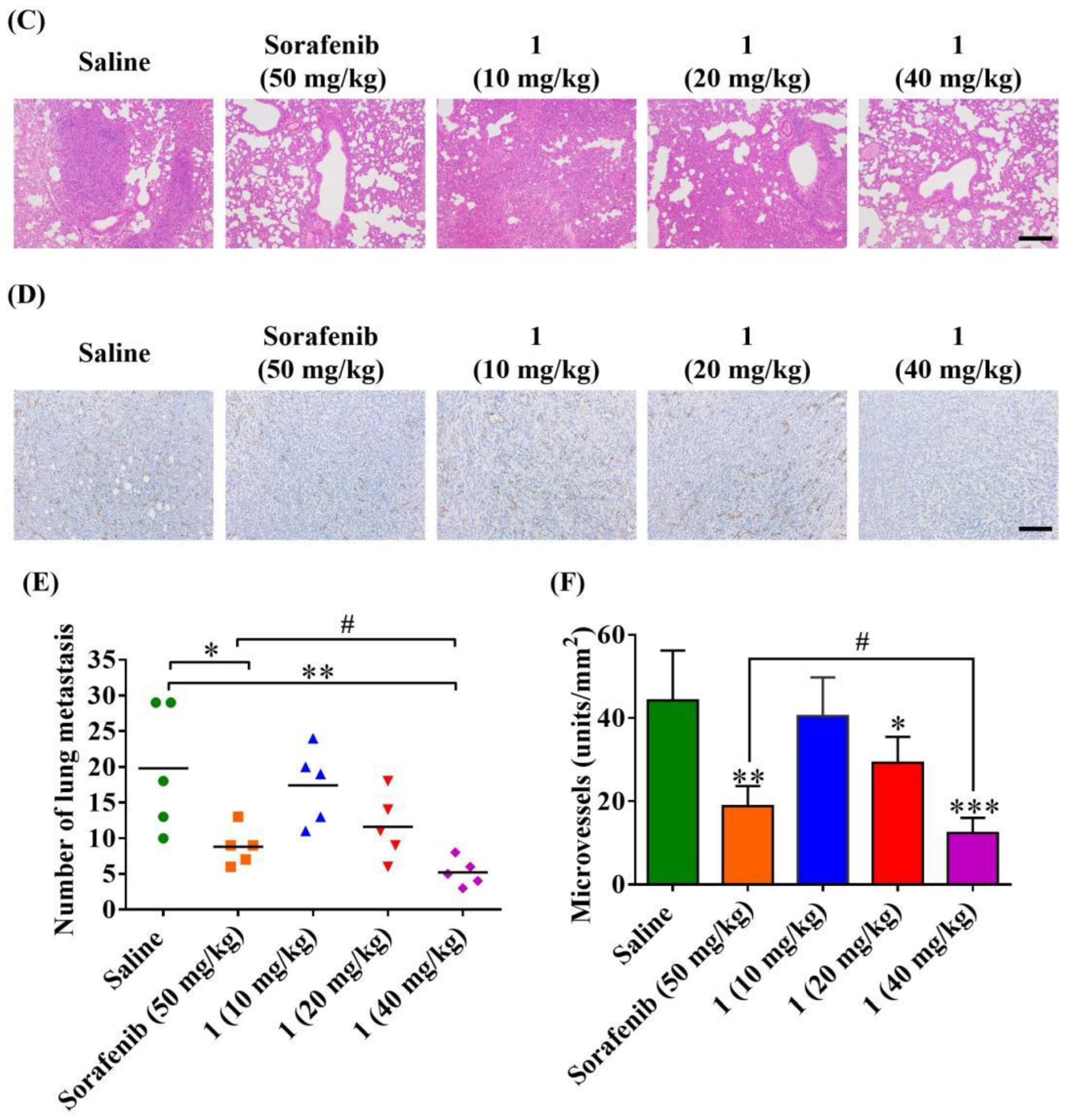 Molecules 27 07132 g009b