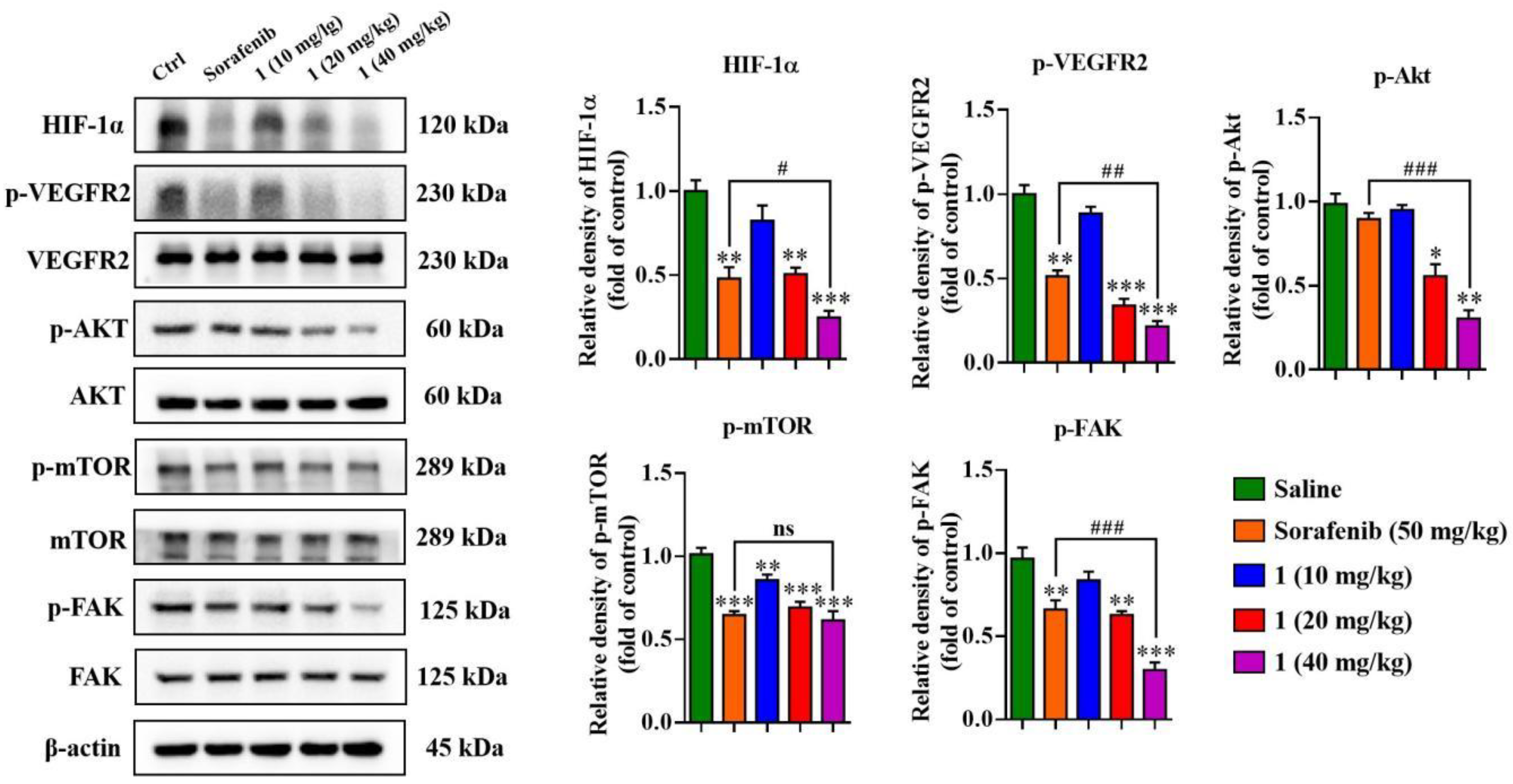 Molecules 27 07132 g010