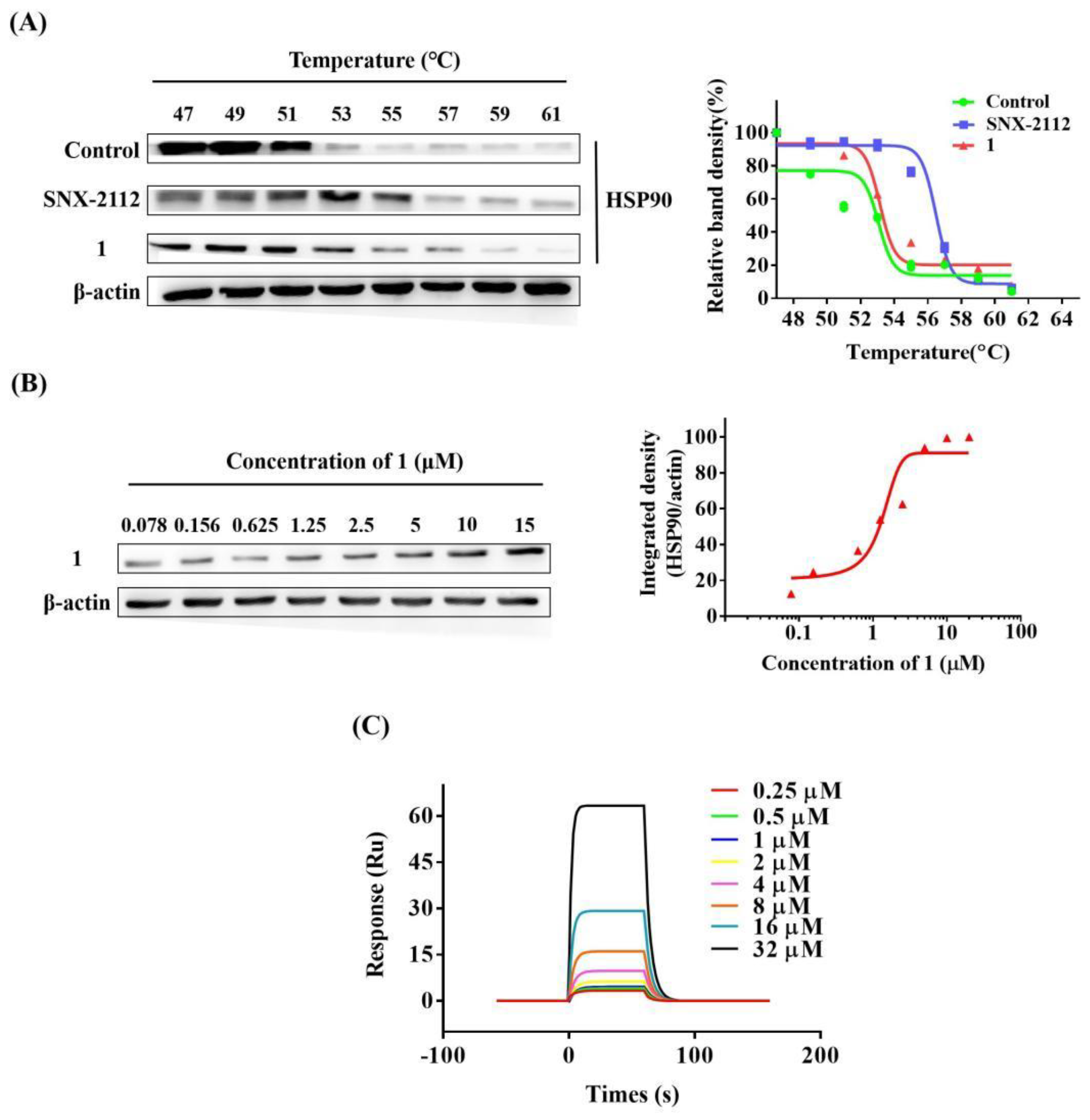 Molecules 27 07132 g011