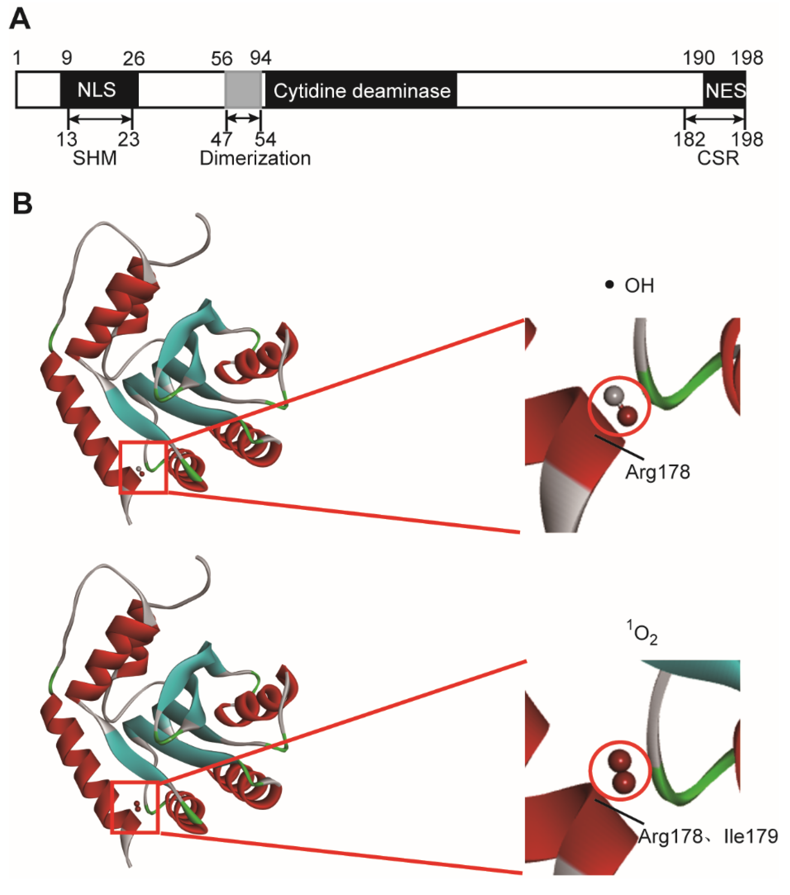 Molecules 27 07143 g003 Molecules 27 07143 g003