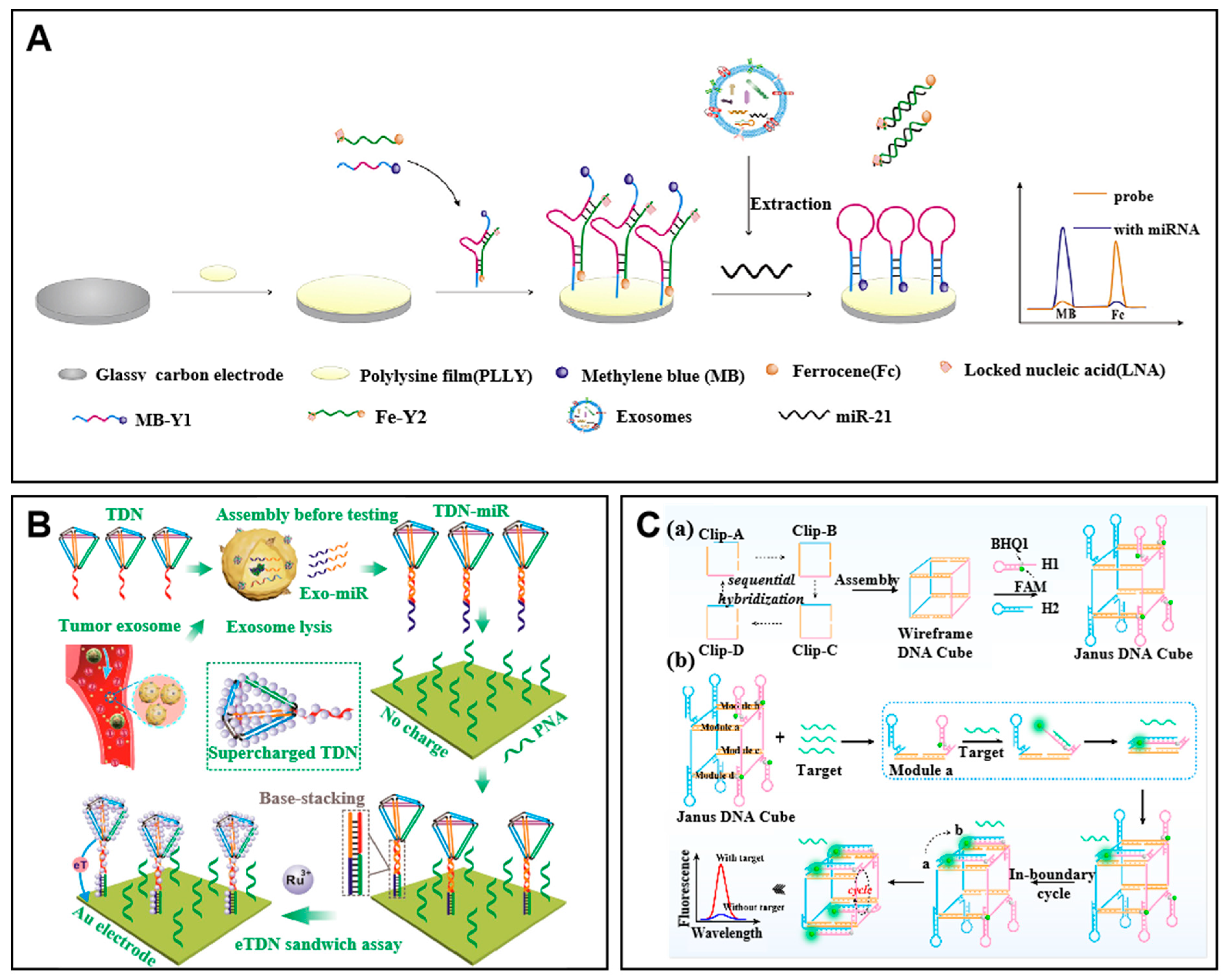 Molecules 27 07145 g001