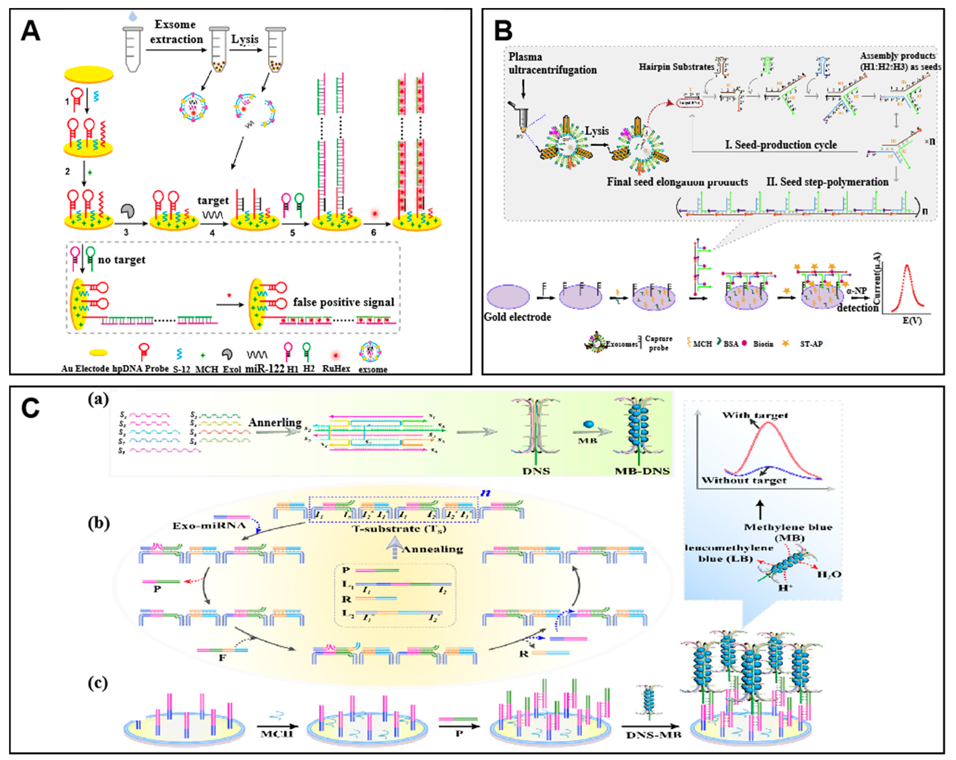 Molecules 27 07145 g002