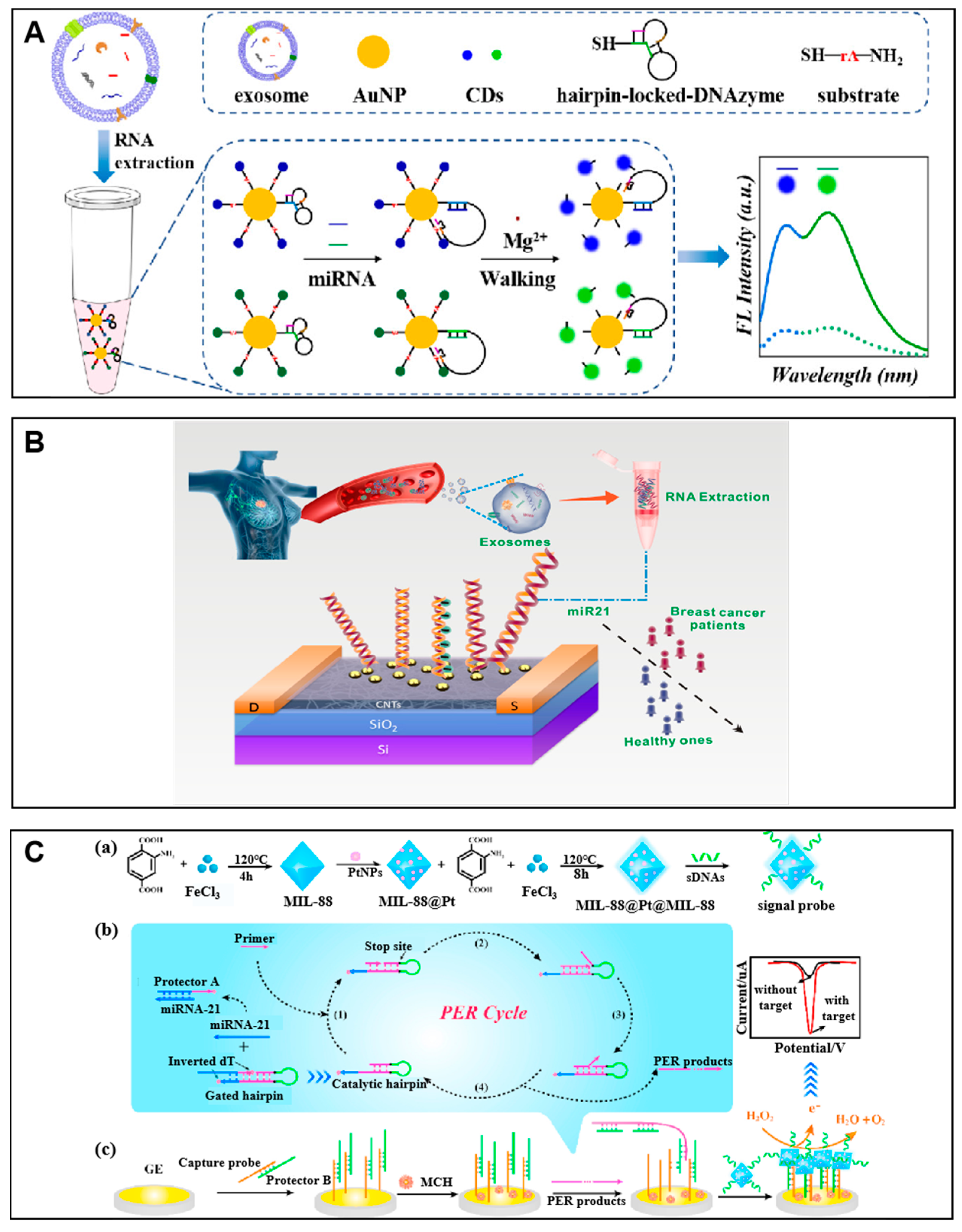 Molecules 27 07145 g004