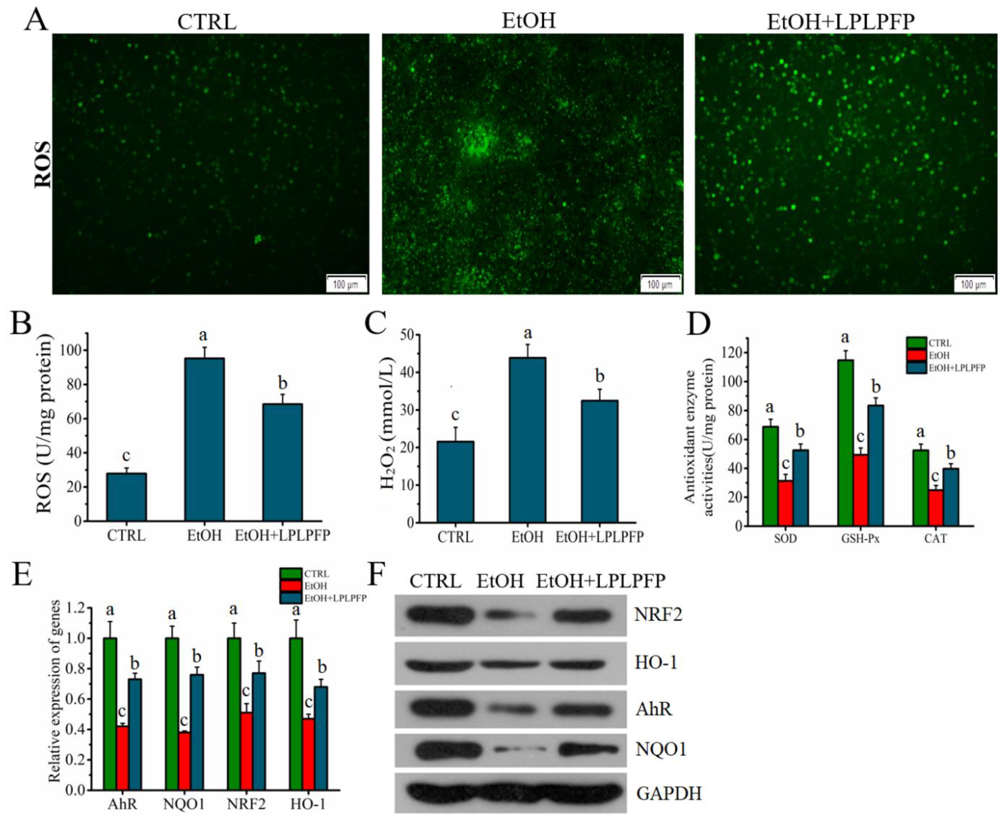 Molecules 27 07151 g007