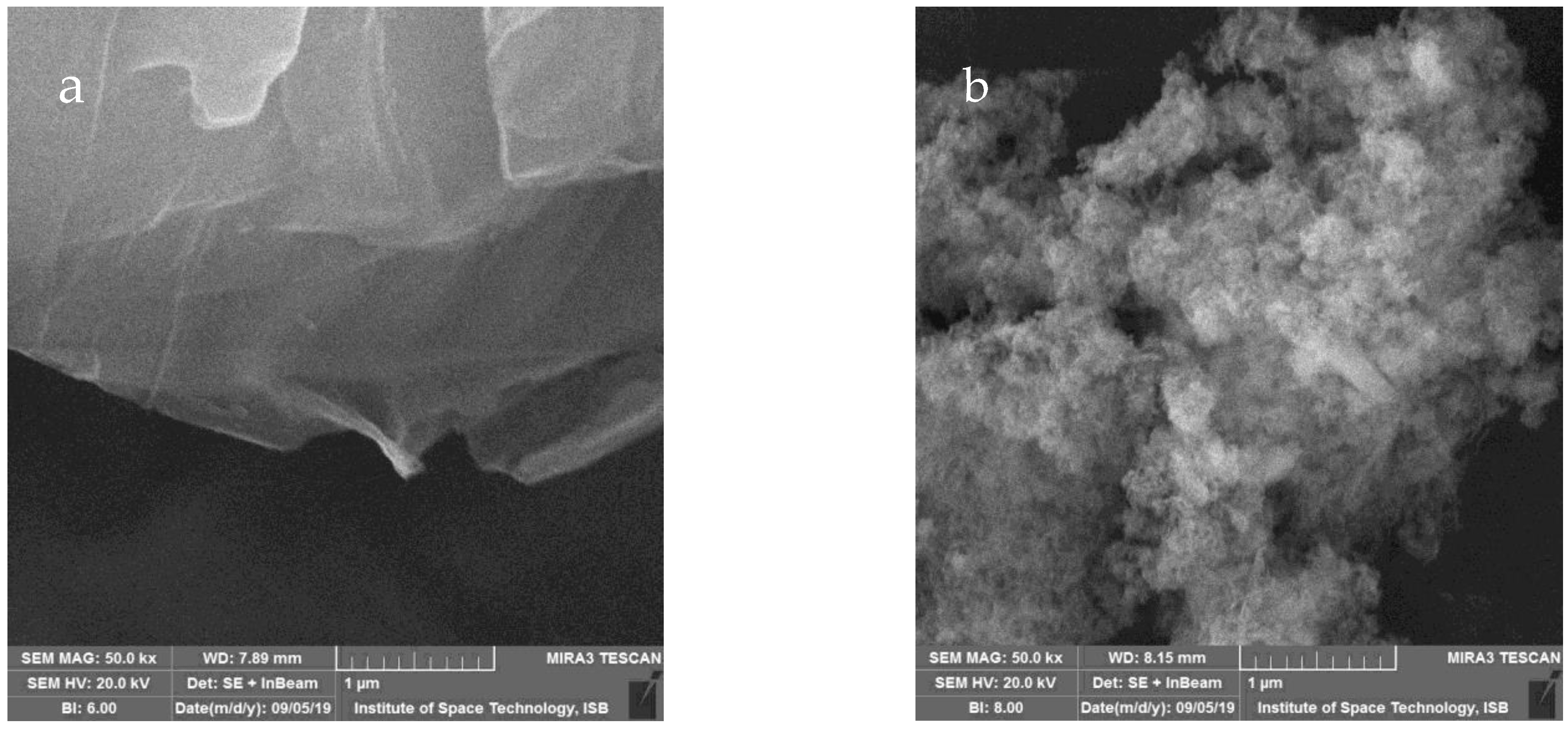 Molecules 27 07152 g002