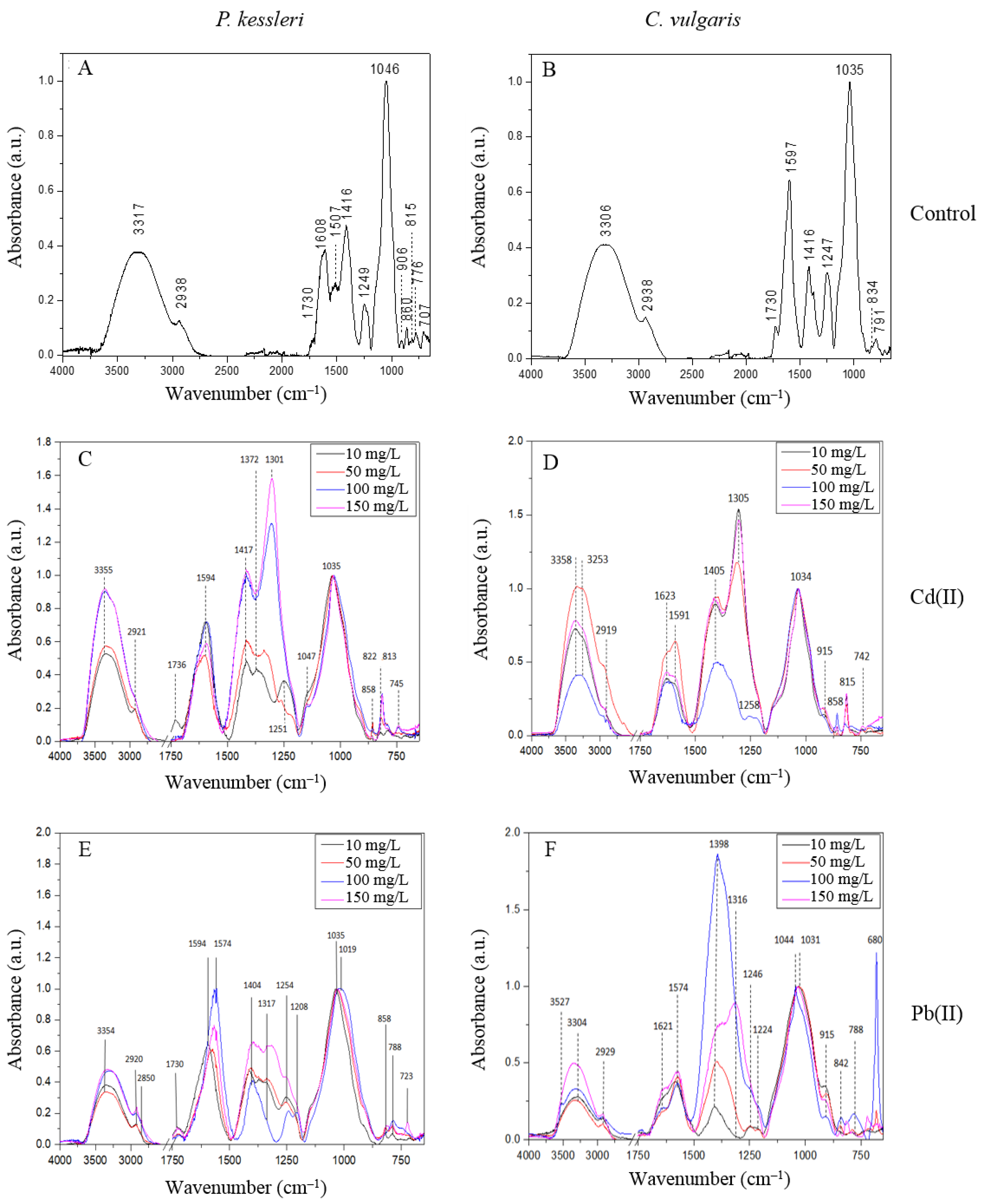 Molecules 27 07153 g002 Molecules 27 07153 g002