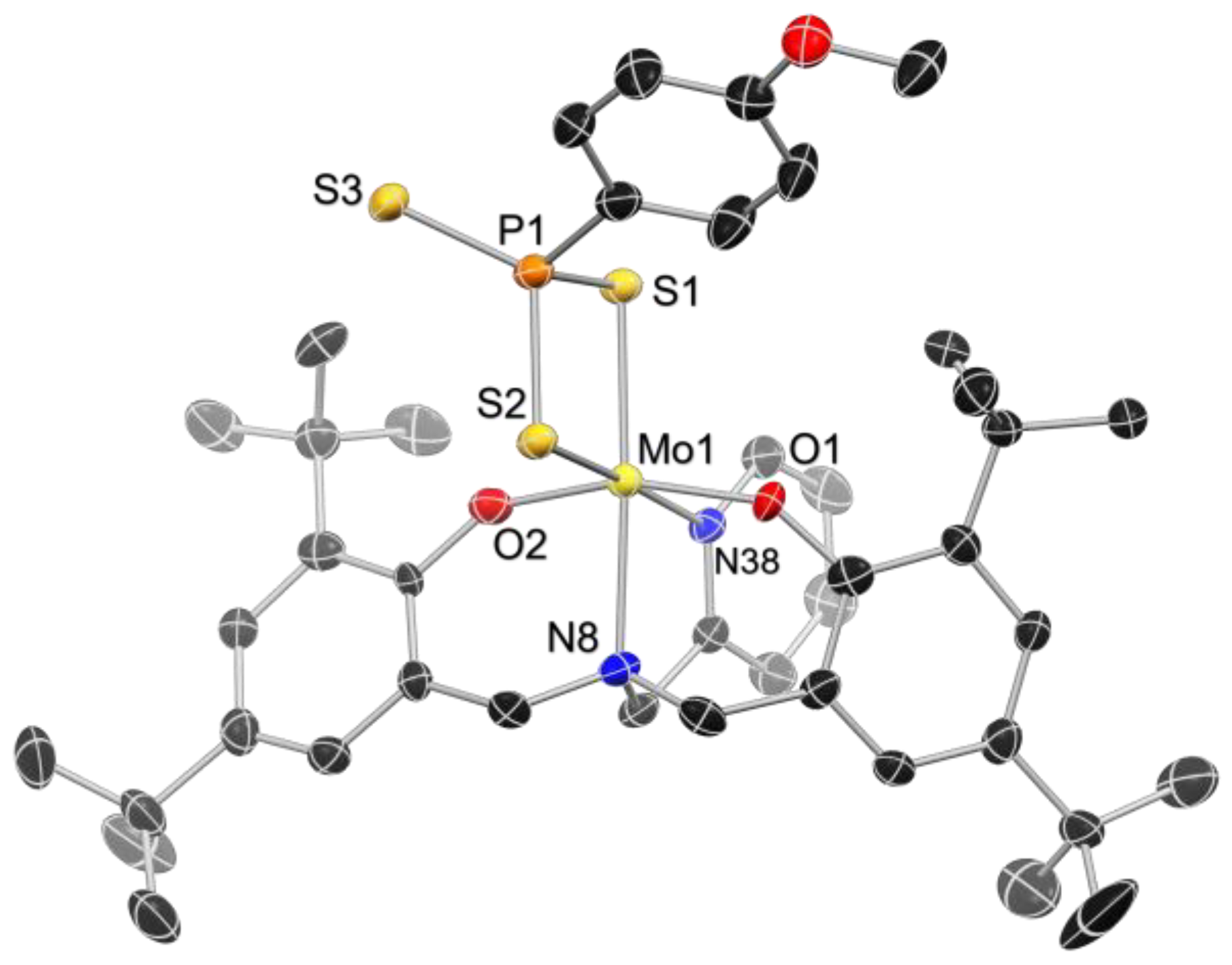 Molecules 27 07154 g002