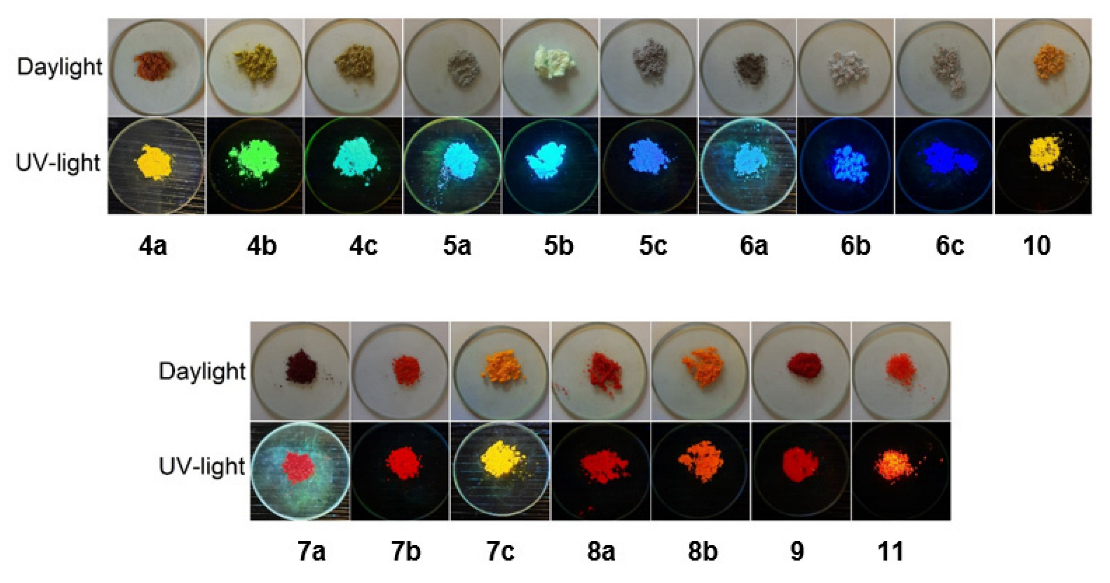 Molecules 27 07156 g006