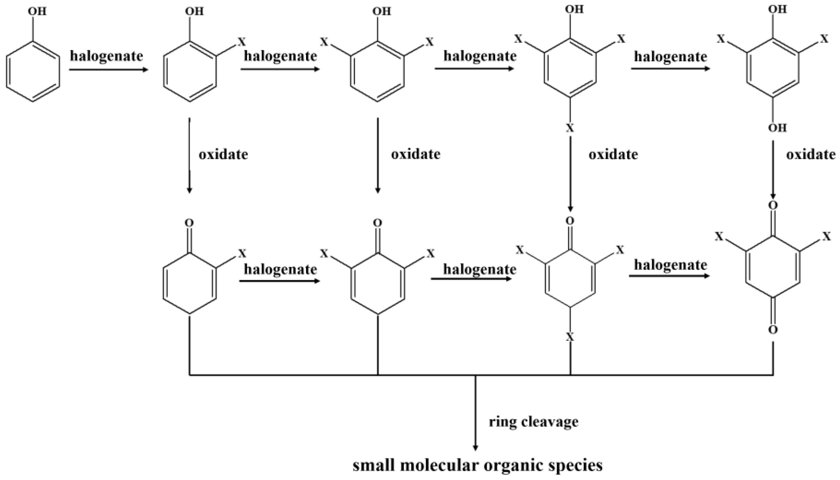 Molecules 27 07160 g007 Molecules 27 07160 g007