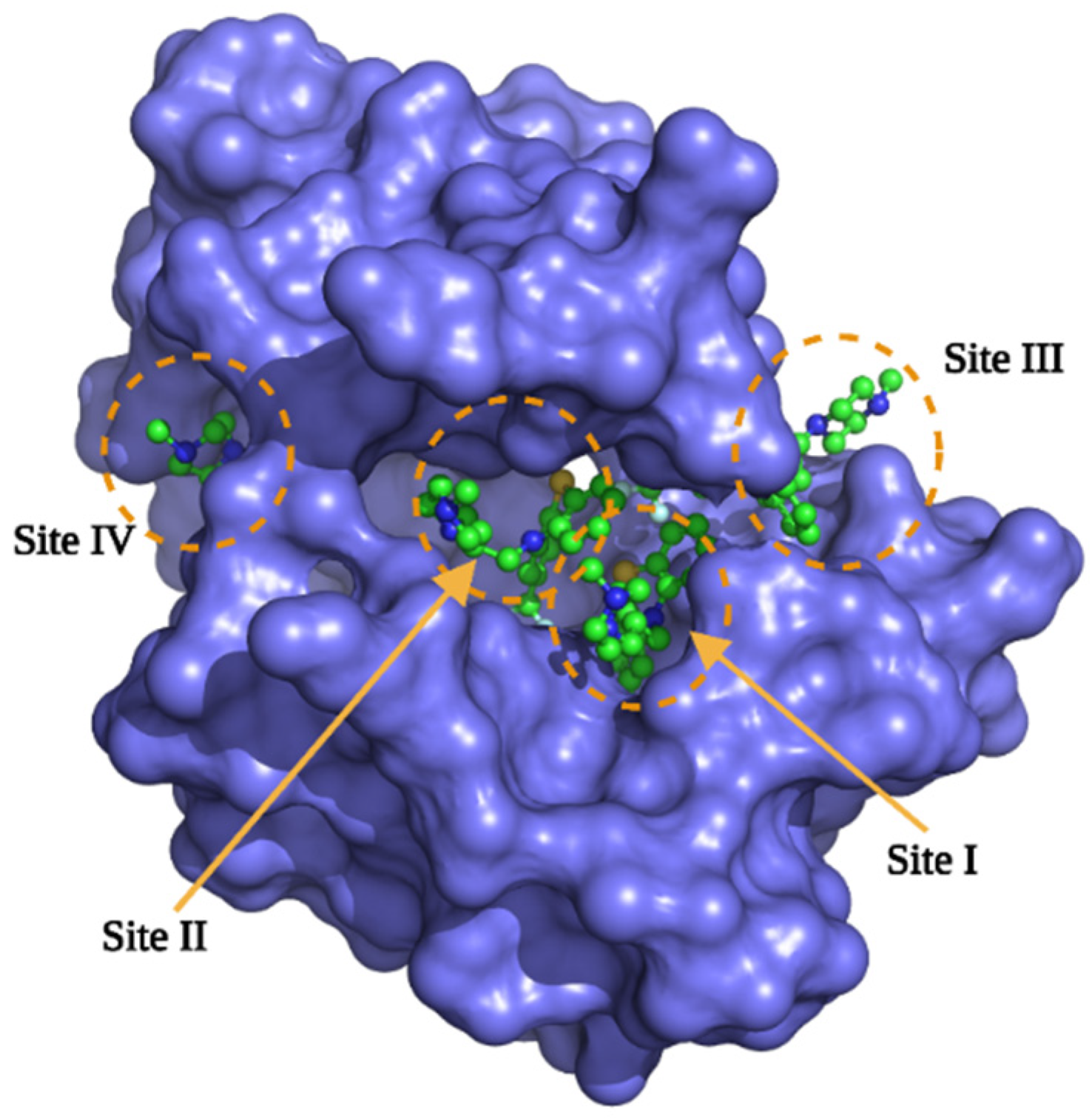 Molecules 27 07161 g004