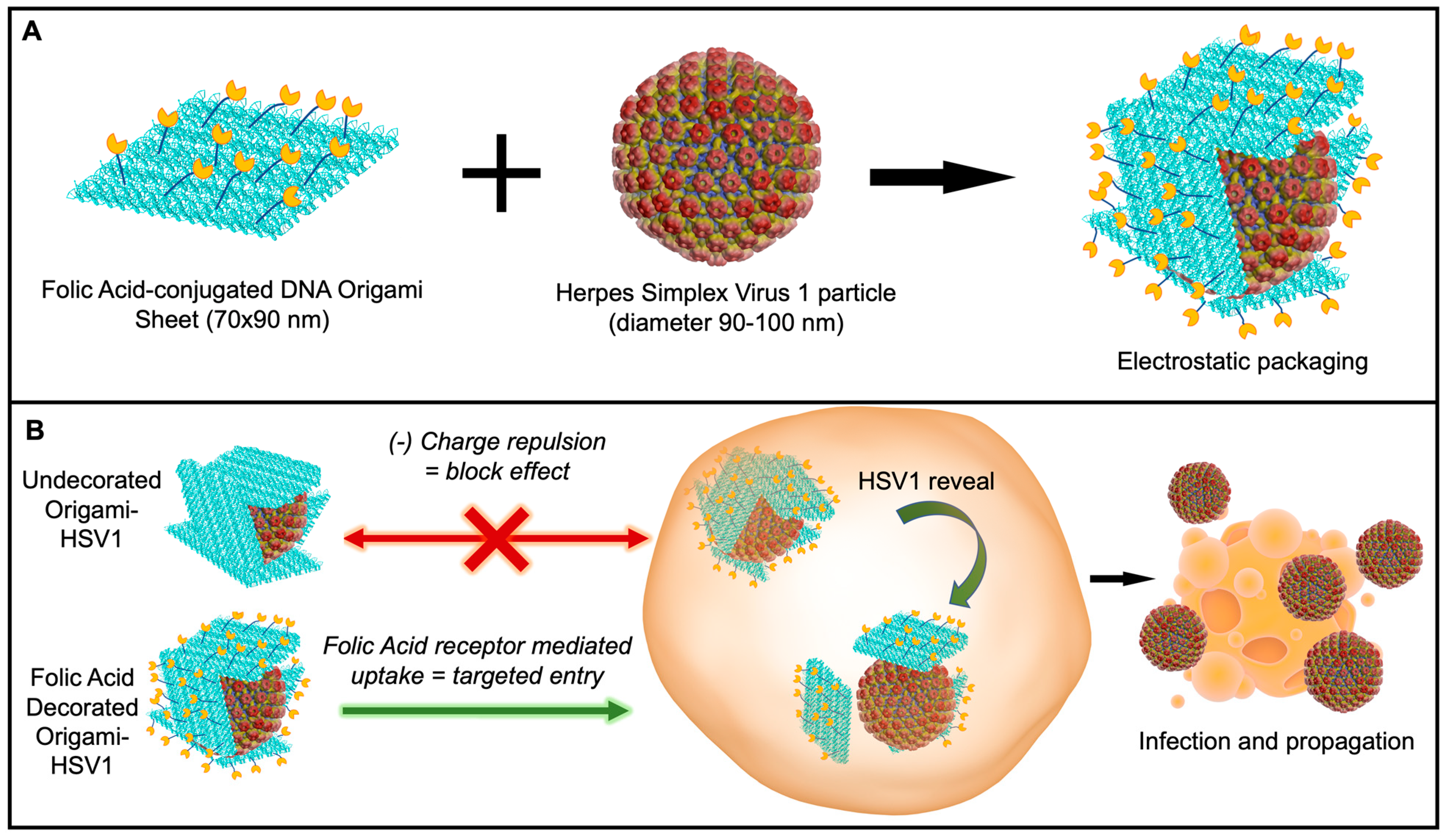 Molecules 27 07162 g001