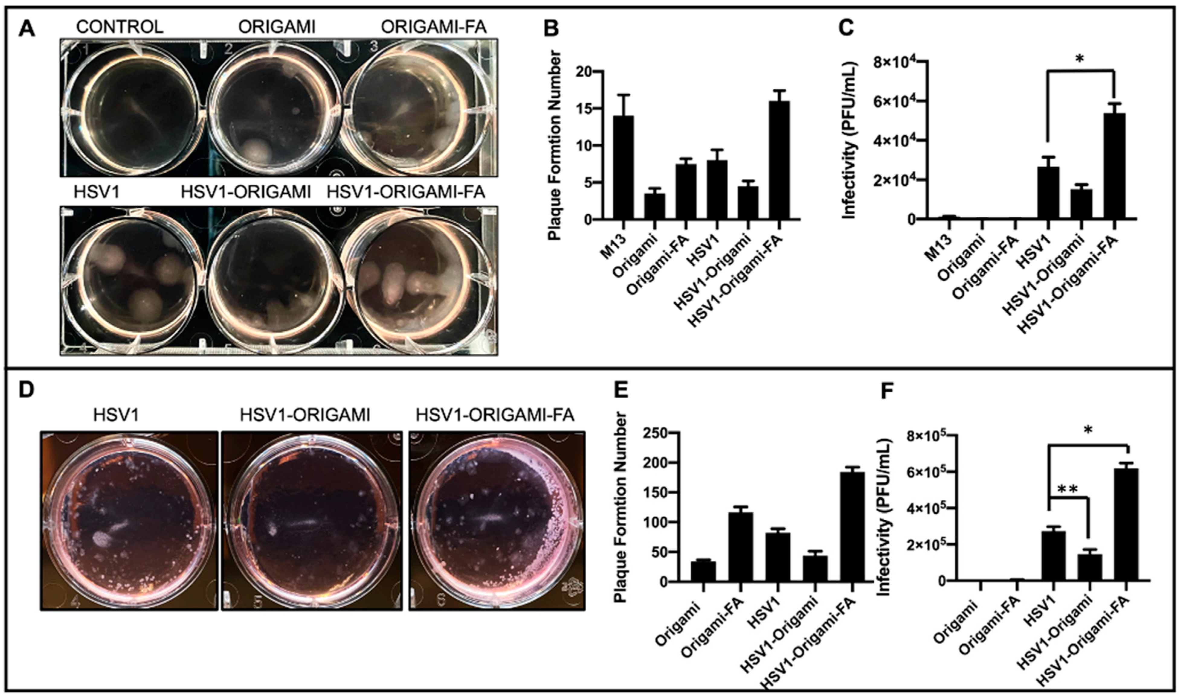 Molecules 27 07162 g004