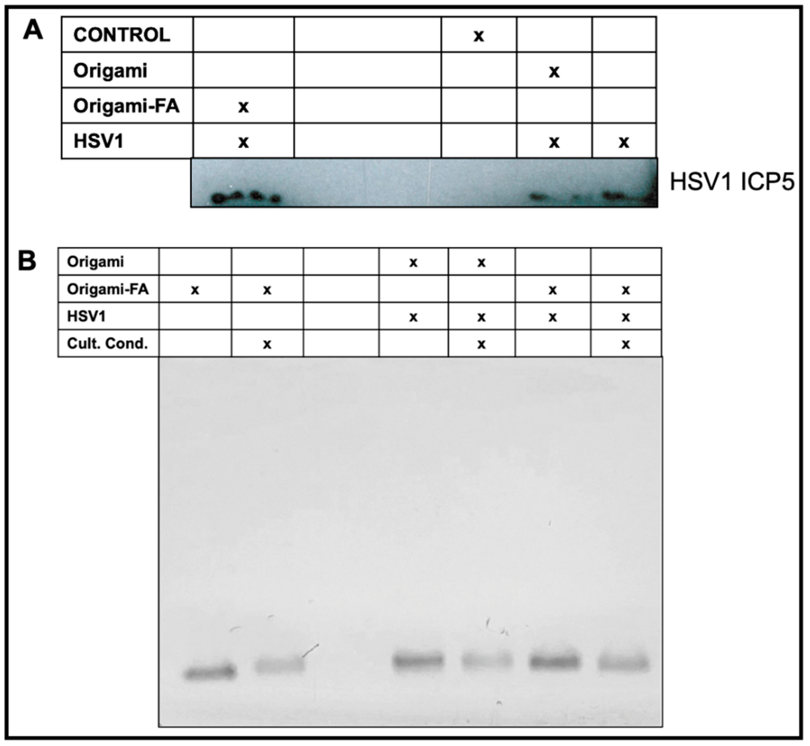 Molecules 27 07162 g005