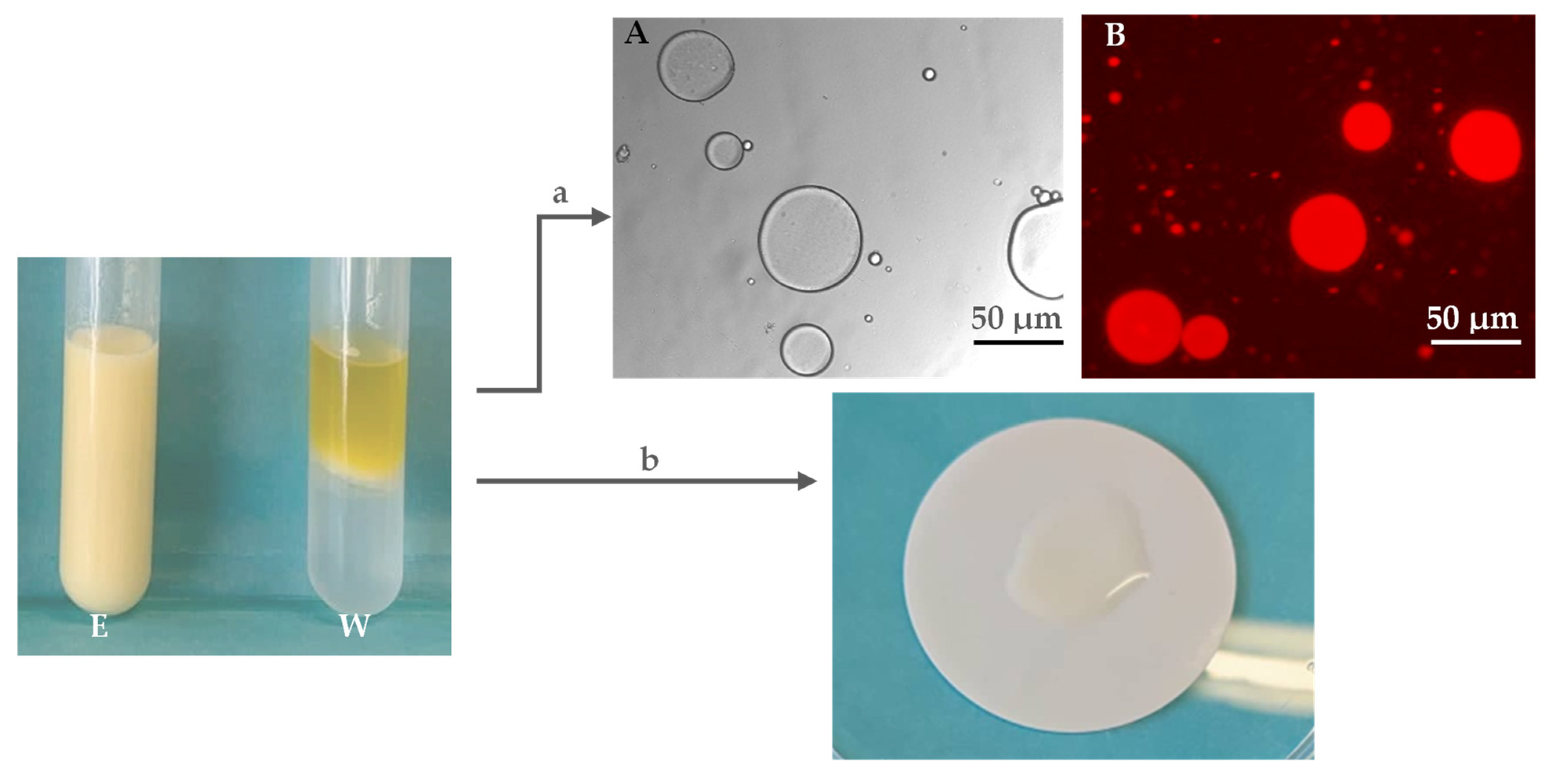 Molecules 27 07165 g006